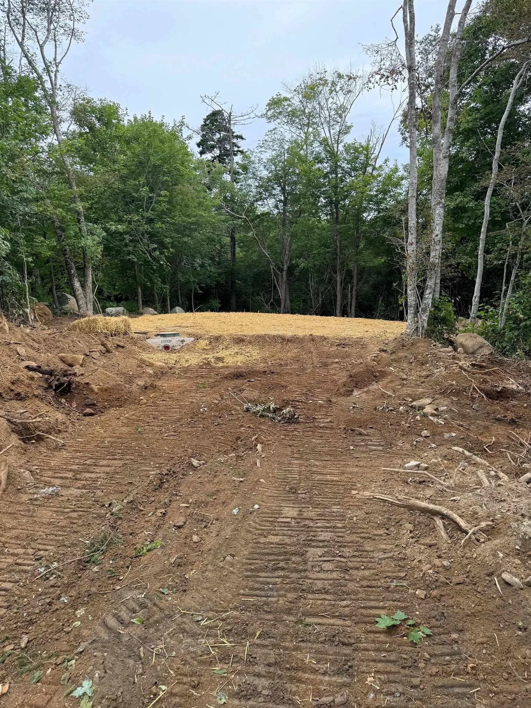 1199/1201 Highway 7, Westphal Ns B2z 1a9, ,Land,For Sale,Highway 7,202417441