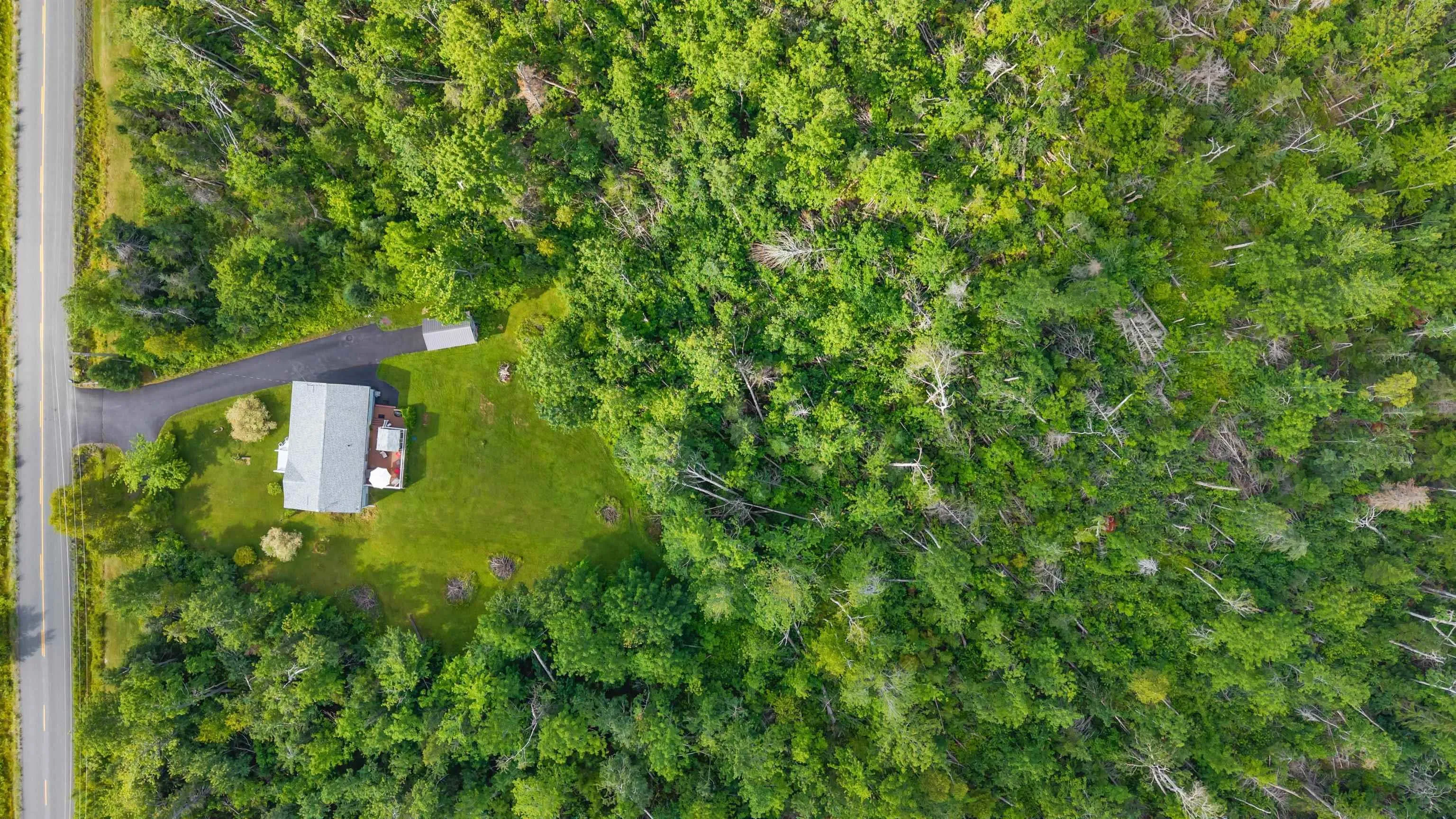 481 Frasers Mountain Branch Road, Woodburn, NS B2H 5C4, 4 Bedrooms Bedrooms, ,1 BathroomBathrooms,Residential,For Sale,Frasers Mountain Branch,202517487