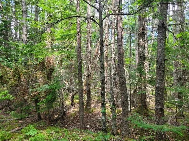Port Malcolm Road, Grantville, NS B9A 1Z6, ,Land,For Sale,Port Malcolm,202525658