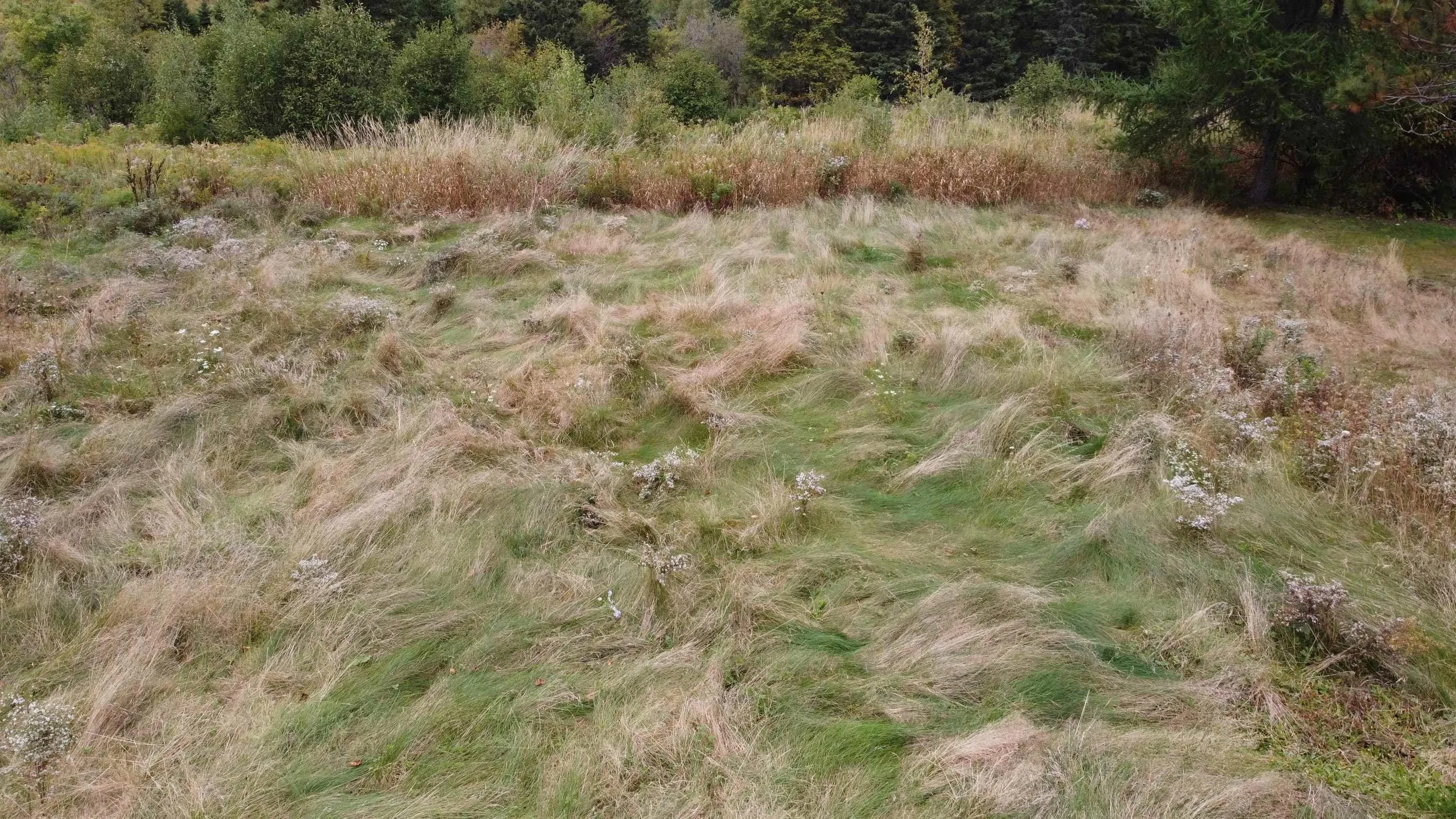 Lot Greenhill Road, Greenhill, NS B0K 2A0, ,Land,For Sale,Greenhill,202520121