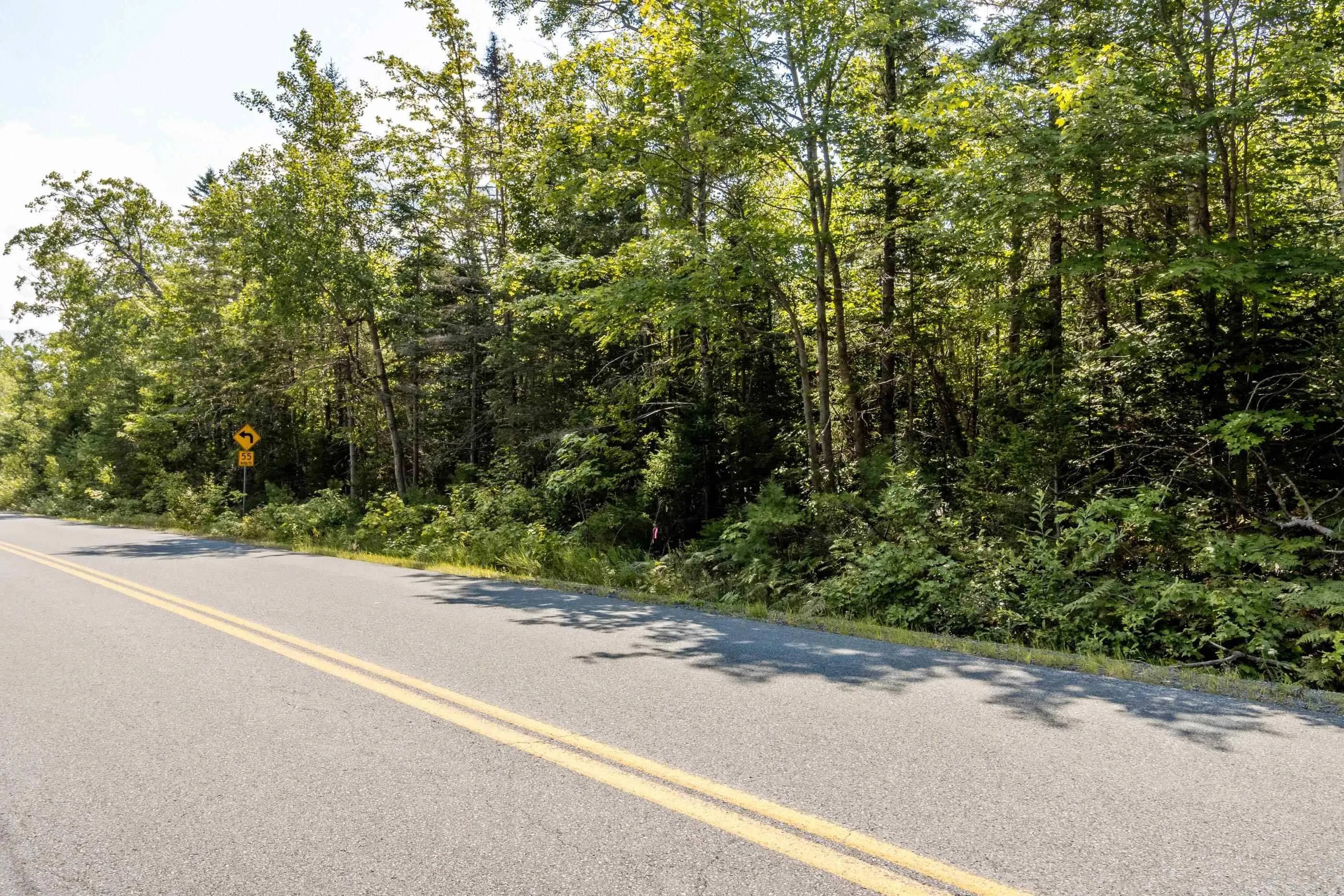Lot 1 Aylesford Road, Morristown Ns B0p 1c0, ,Land,For Sale,Aylesford,202421062