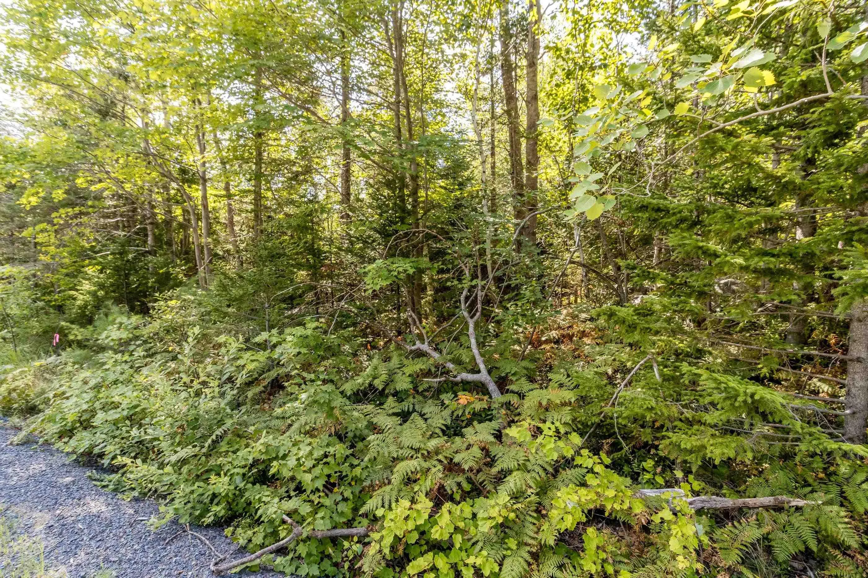 Lot 1 Aylesford Road, Morristown Ns B0p 1c0, ,Land,For Sale,Aylesford,202421062