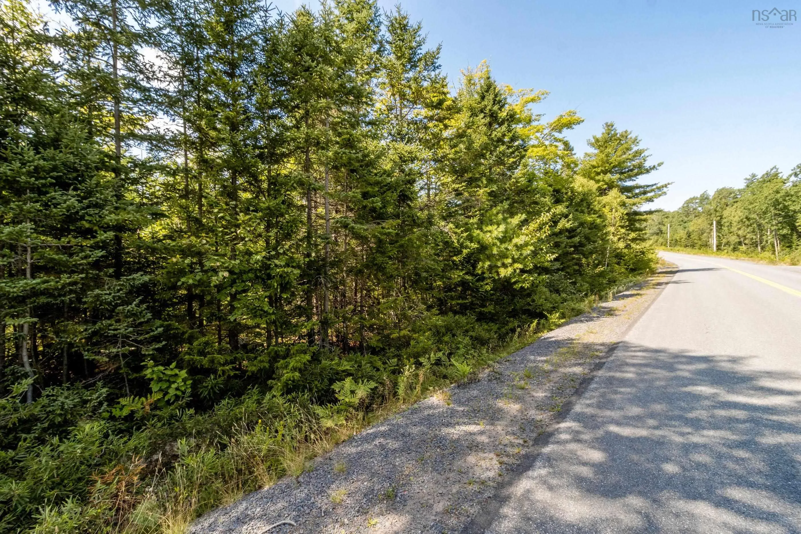 Lot 1 Aylesford Road, Morristown Ns B0p 1c0, ,Land,For Sale,Aylesford,202421062