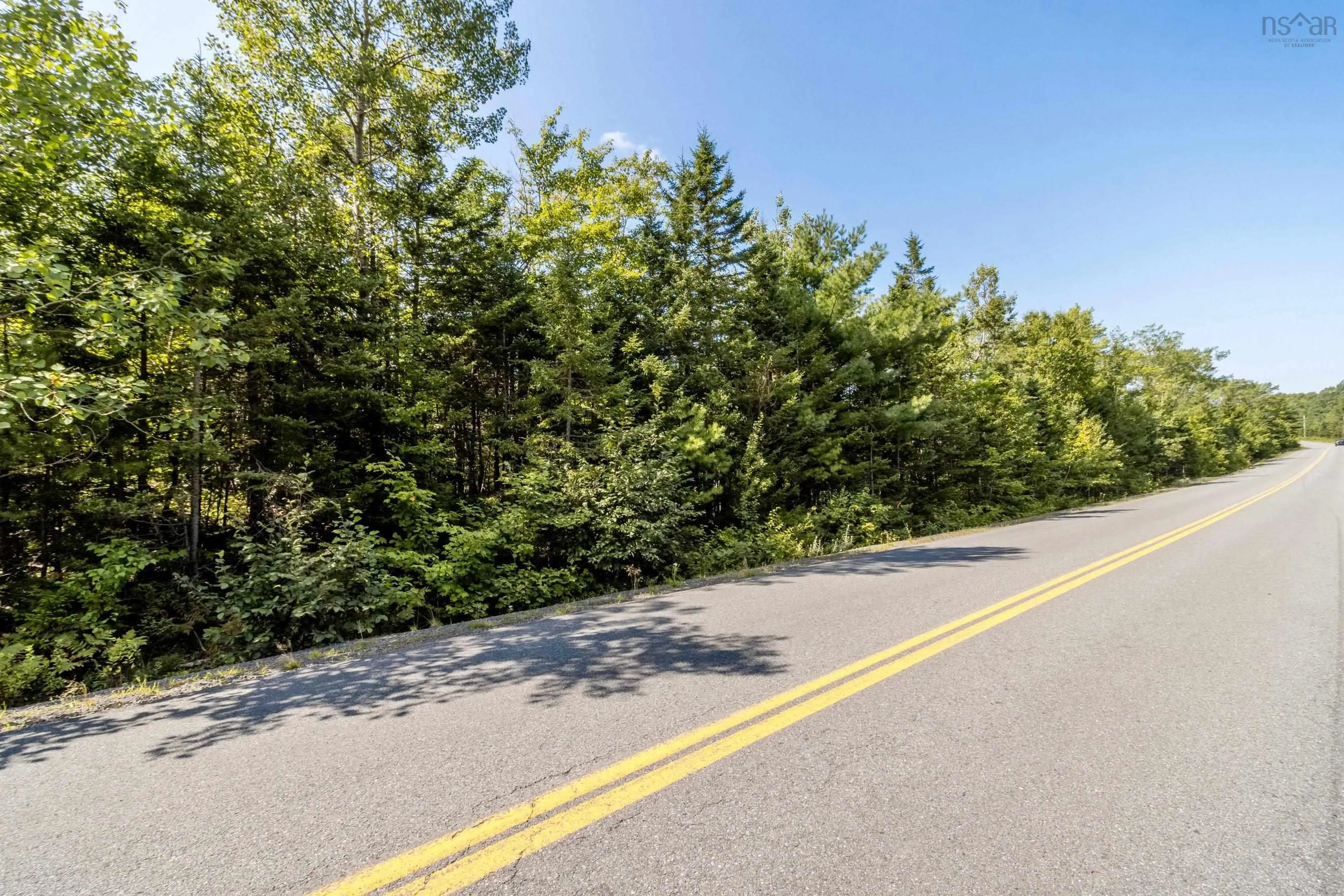 Lot 1 Aylesford Road, Morristown Ns B0p 1c0, ,Land,For Sale,Aylesford,202421062