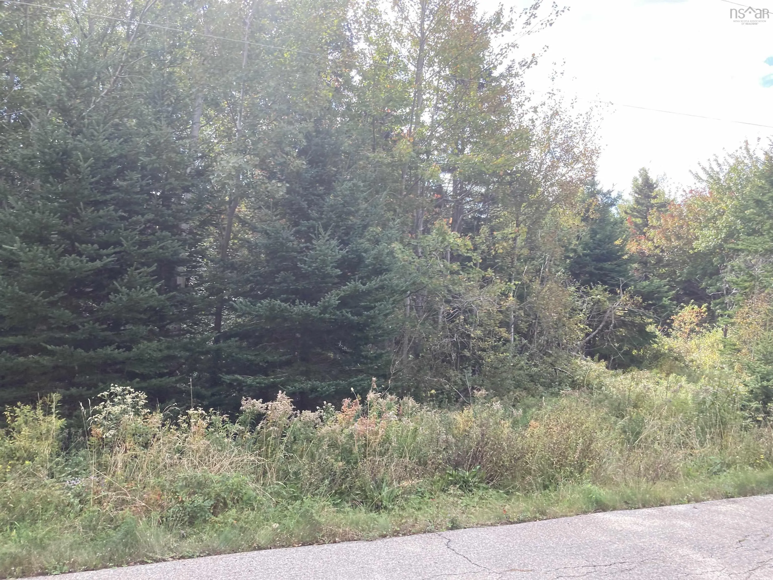Frankville Rd., Frankville Ns B0h 1p0, ,Land,For Sale,Frankville Rd.,202320944