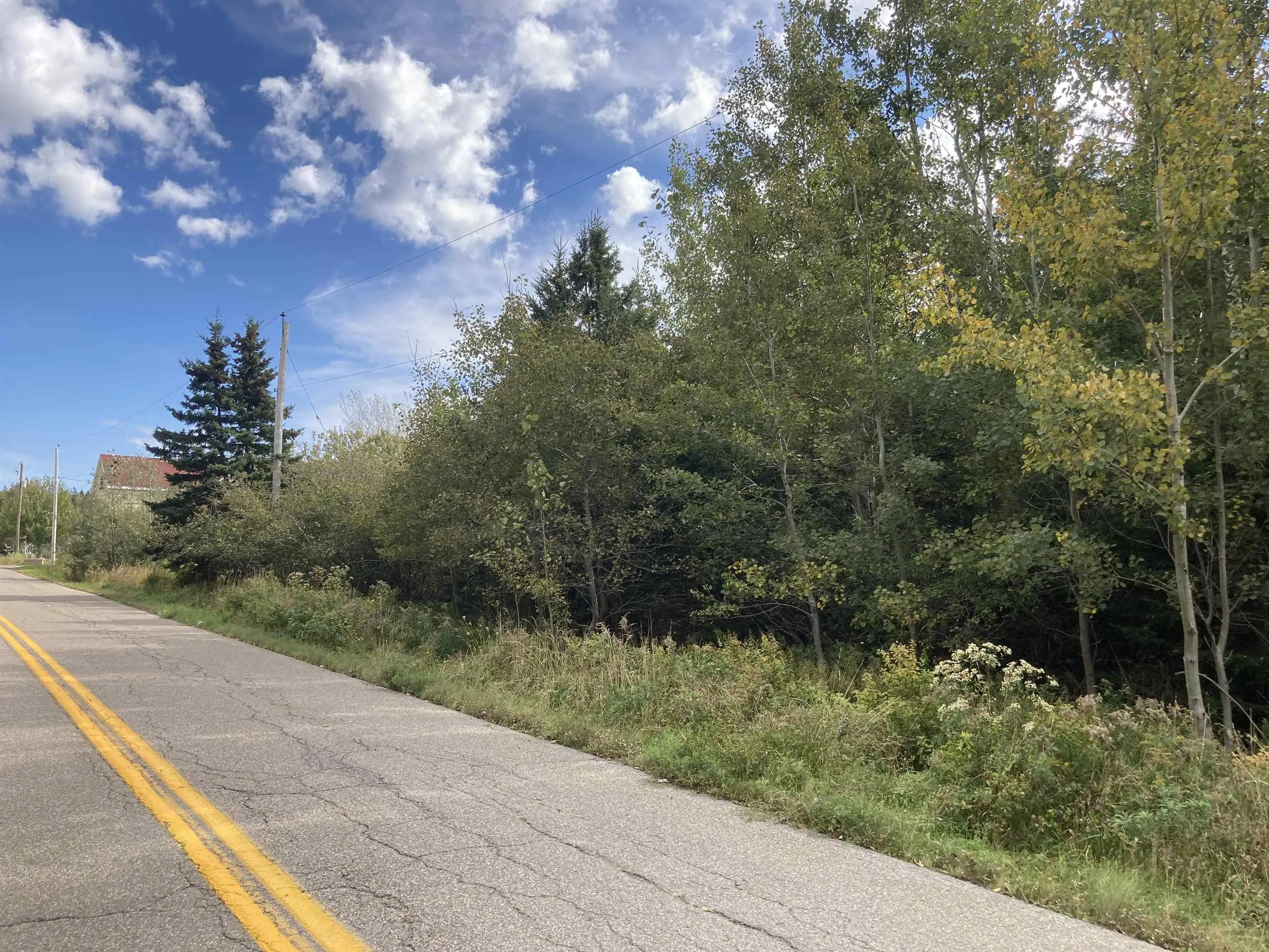 Frankville Rd., Frankville Ns B0h 1p0, ,Land,For Sale,Frankville Rd.,202320944