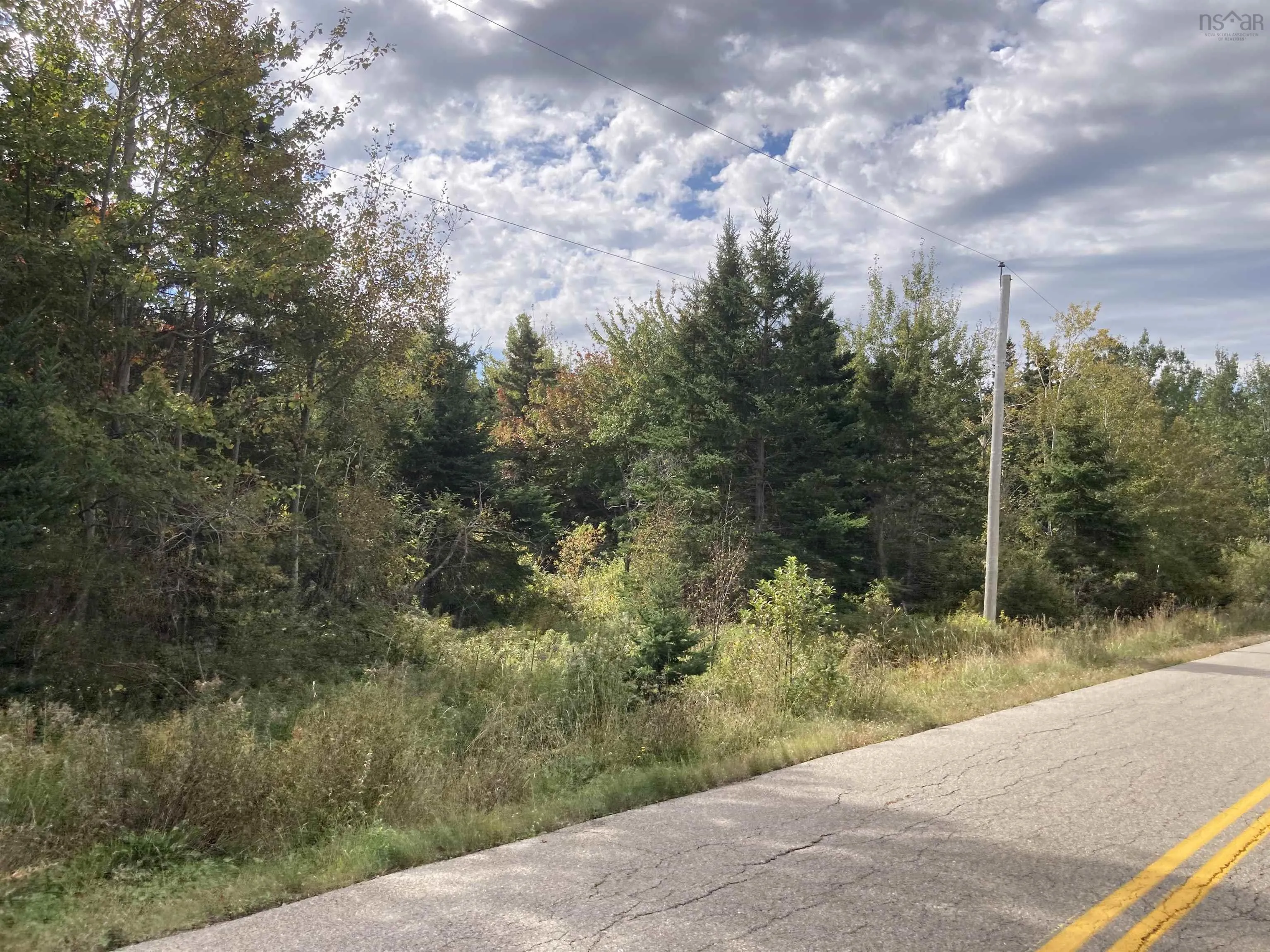 Frankville Rd., Frankville Ns B0h 1p0, ,Land,For Sale,Frankville Rd.,202320944