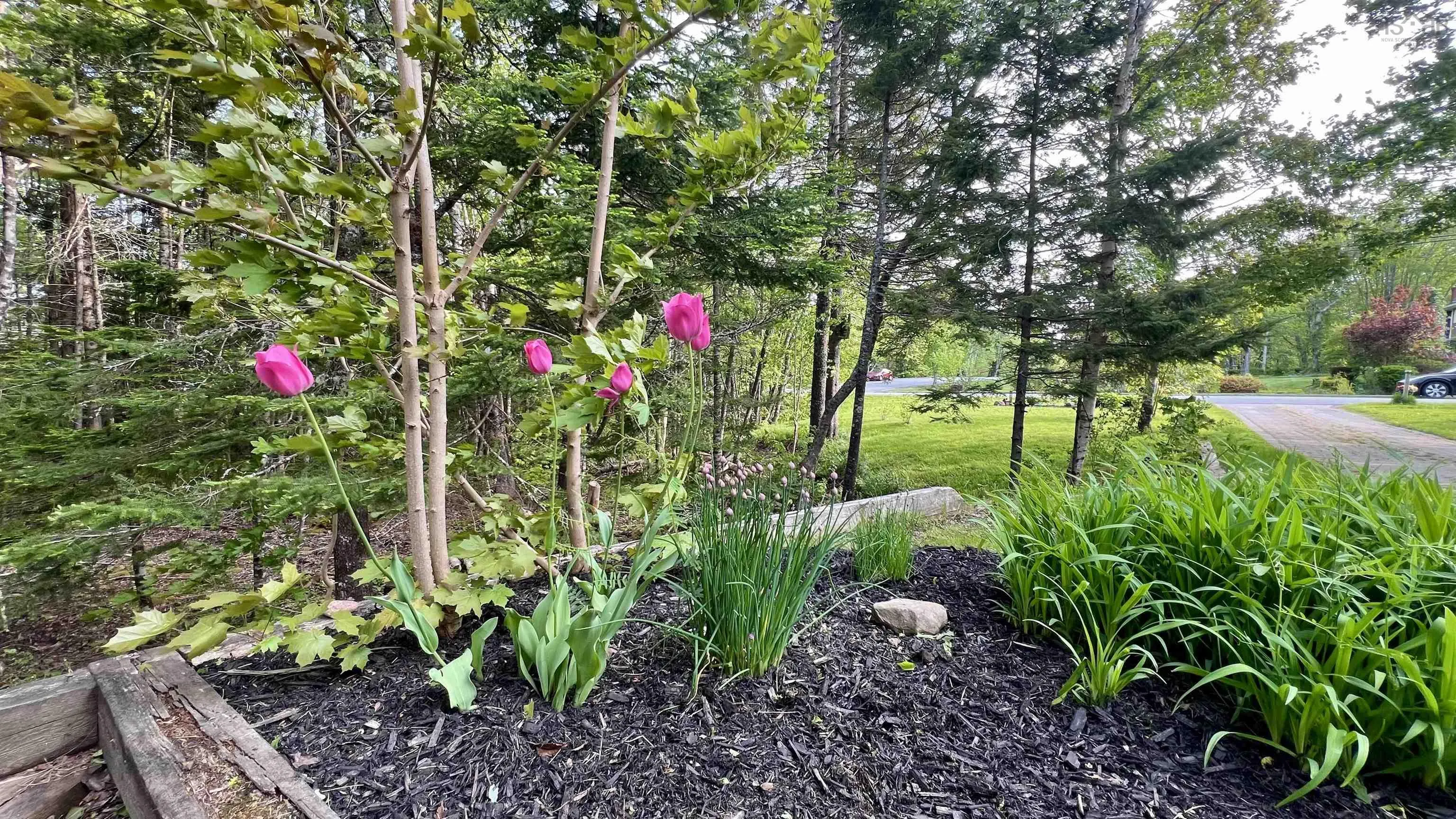 10 Kingsway Road, Hammonds Plains, NS B3Z 1K2, 4 Bedrooms Bedrooms, ,2 BathroomsBathrooms,Residential,For Sale,Kingsway,202522871