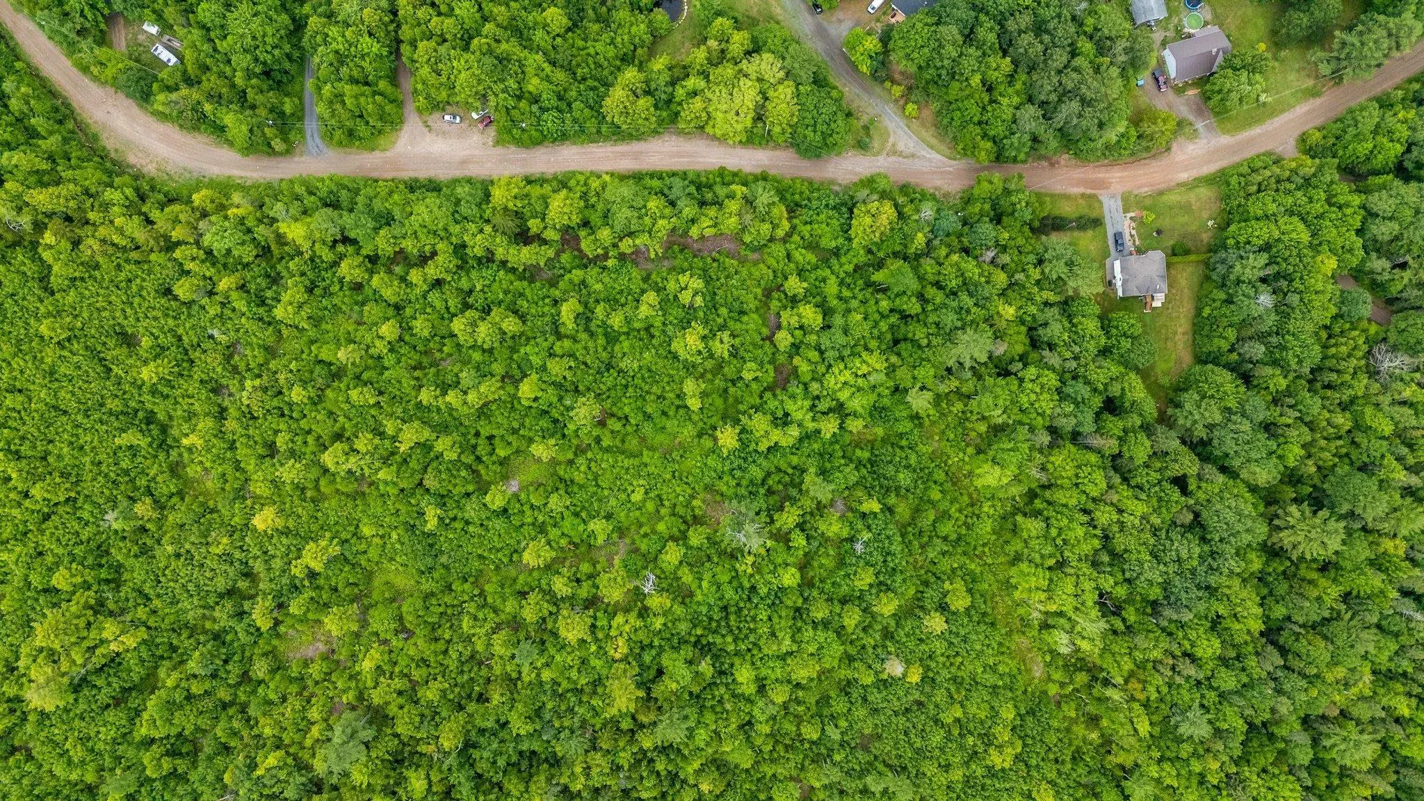 No 14 Highway, Windsor Forks, NS B0N 2T0, ,Land,For Sale,No 14 Highway,202520305