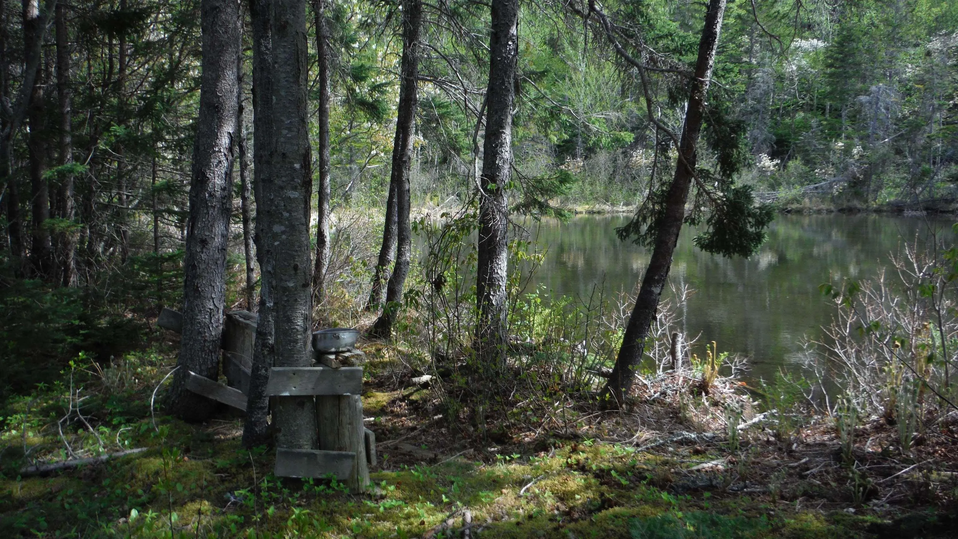 Chemin Du Lac Road, Grand Étang Ns B0e 1h0, ,Land,For Sale,Chemin Du Lac,202507796