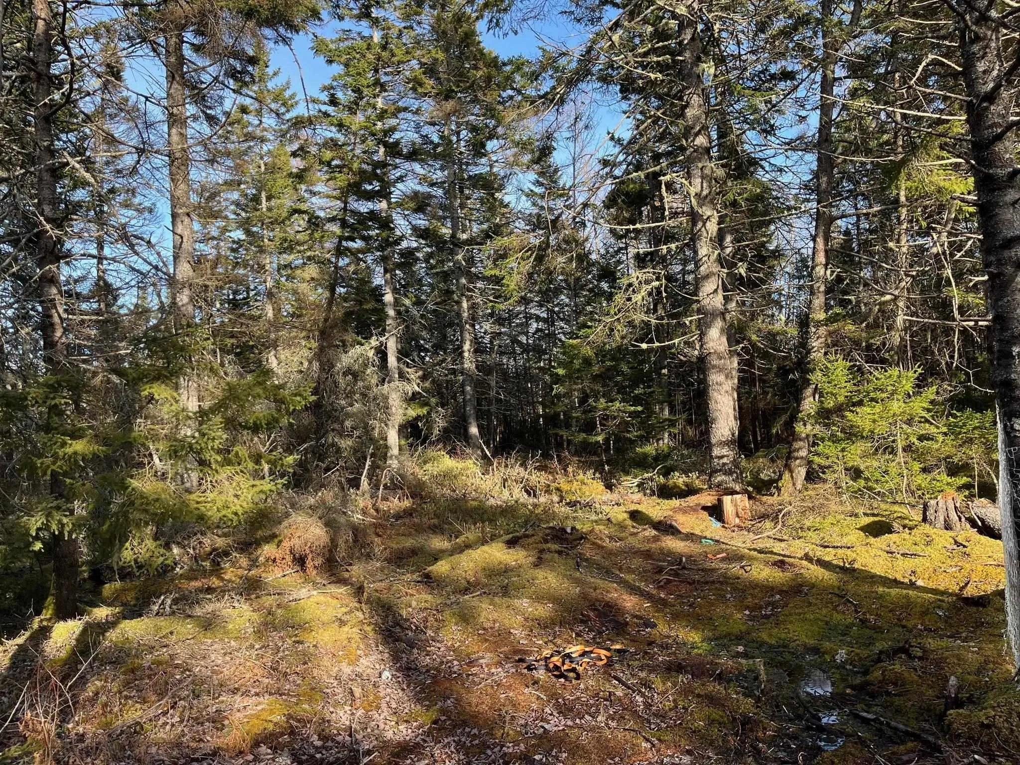 Lot Egypt Road, Pleasant Lake Ns B5a 1l8, ,Land,For Sale,Egypt,202403900