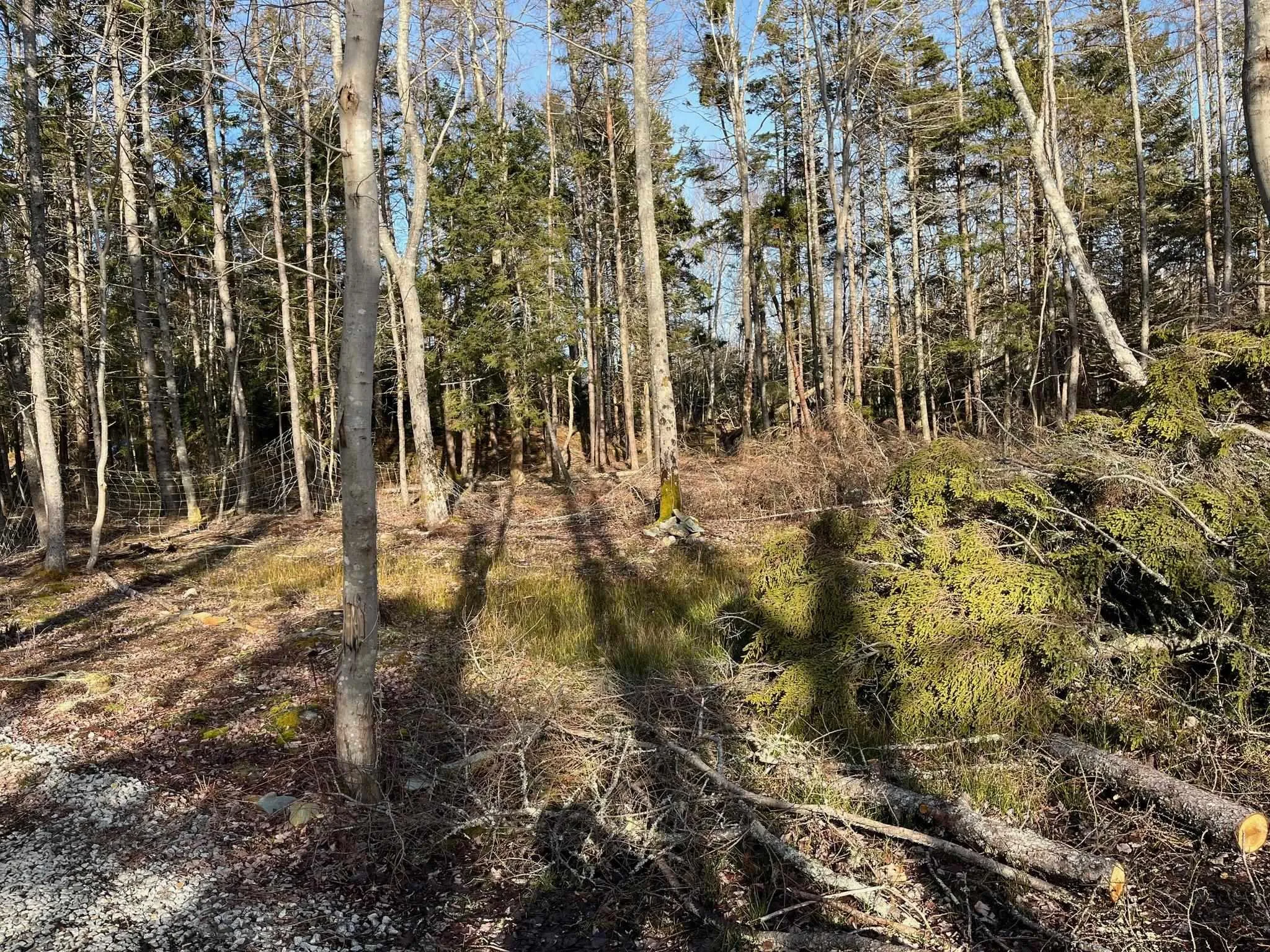 Lot Egypt Road, Pleasant Lake Ns B5a 1l8, ,Land,For Sale,Egypt,202403900