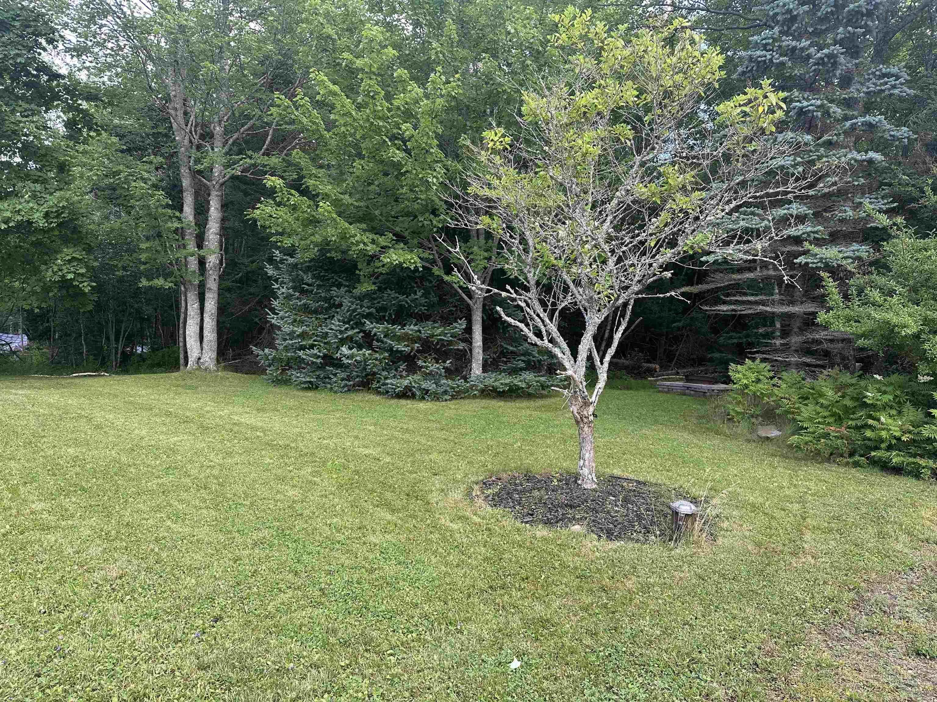 208 Spruce Drive, Salmon River, NS B2H 6G2, 4 Bedrooms Bedrooms, ,2 BathroomsBathrooms,Residential,For Sale,Spruce,202518461