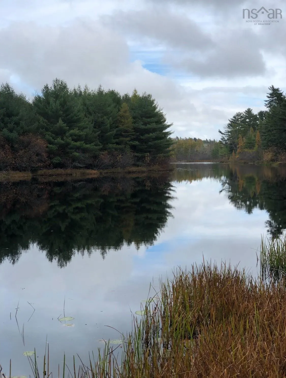 Pid 70151543 Highway 8, Caledonia, NS B0T 1B0, ,Land,For Sale,(Pid 70151543) Highway 8,202525496