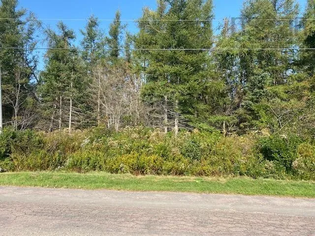 0 Brule Point Road, Brule NS B0K 1V0, ,Land,For Sale,Brule Point,202320600