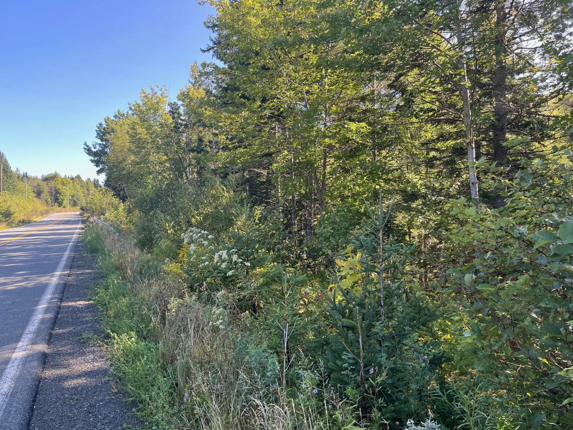 Highway 252, Stewartdale Ns B0e 3m0, ,Land,For Sale,Highway 252,202421694