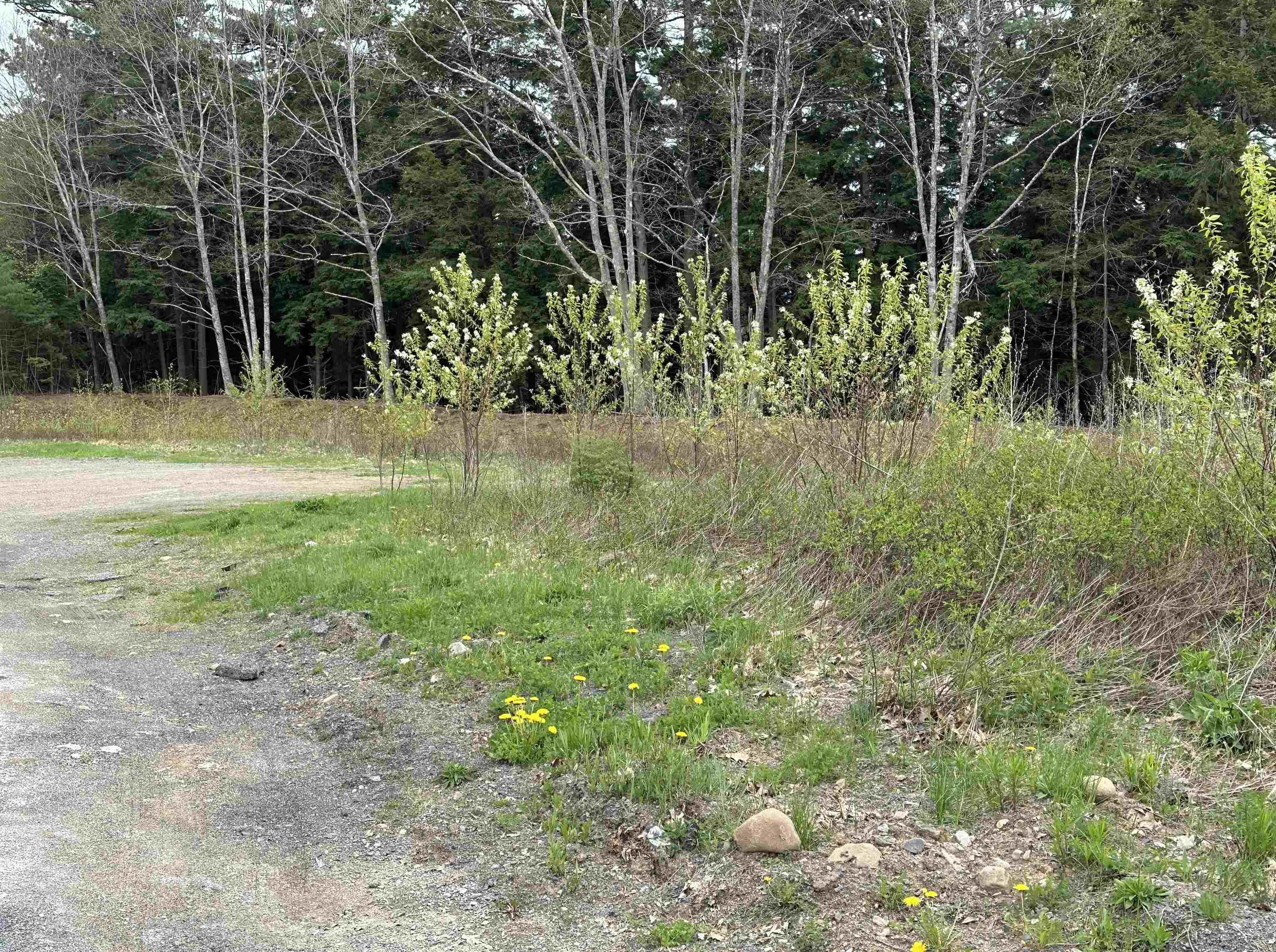 Kentucky Court Lot 4, New Minas, NS B4N 4N1, ,Land,For Sale,Kentucky,202522884