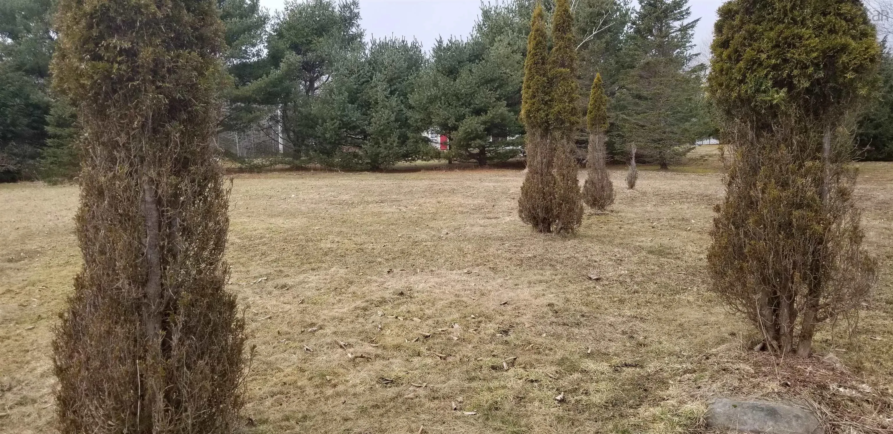 5 White Point 2 Road, White Point Ns B0t 1k0, ,Land,For Sale,White Point 2,202406834
