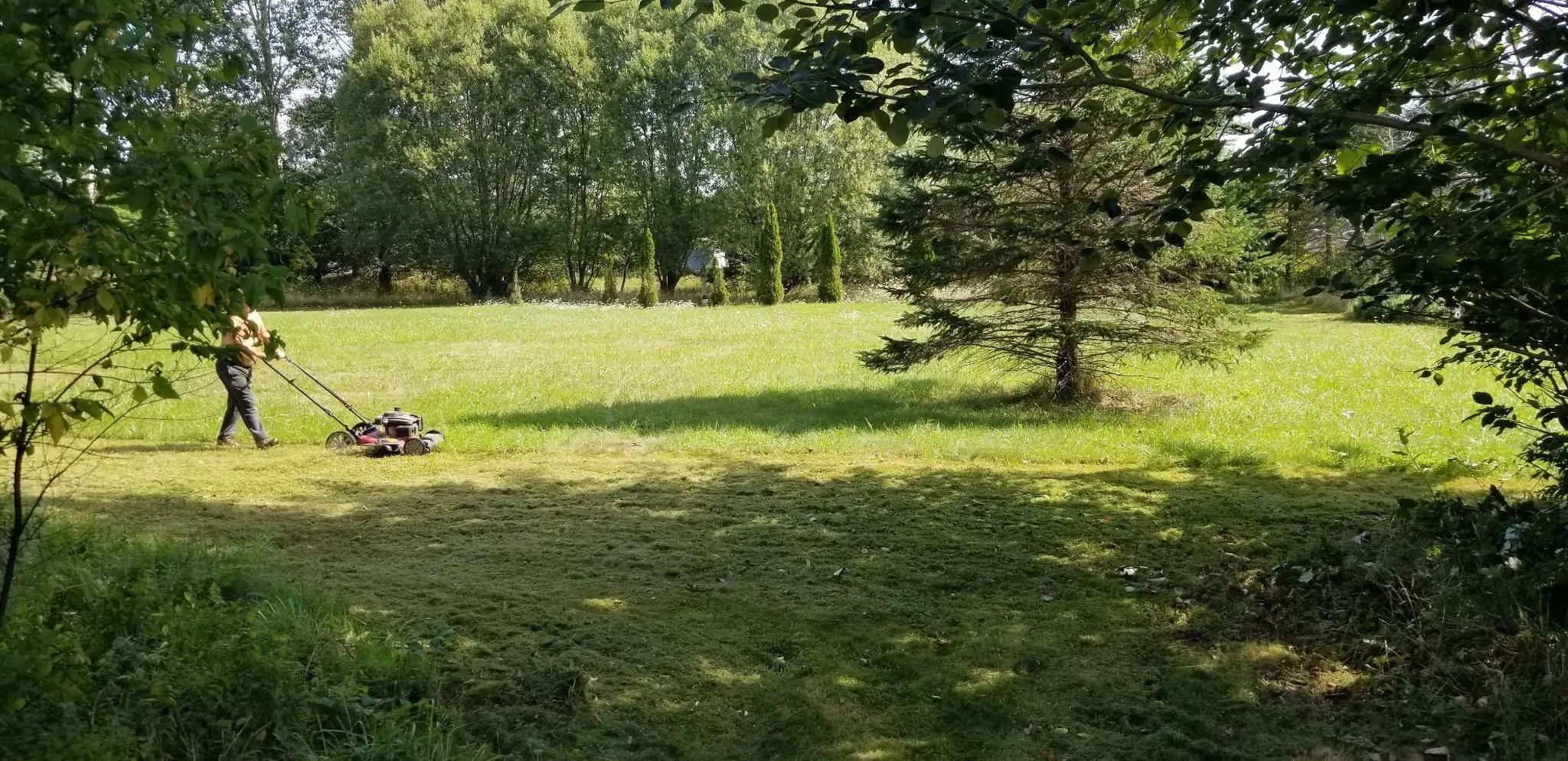 5 White Point 2 Road, White Point Ns B0t 1k0, ,Land,For Sale,White Point 2,202406834