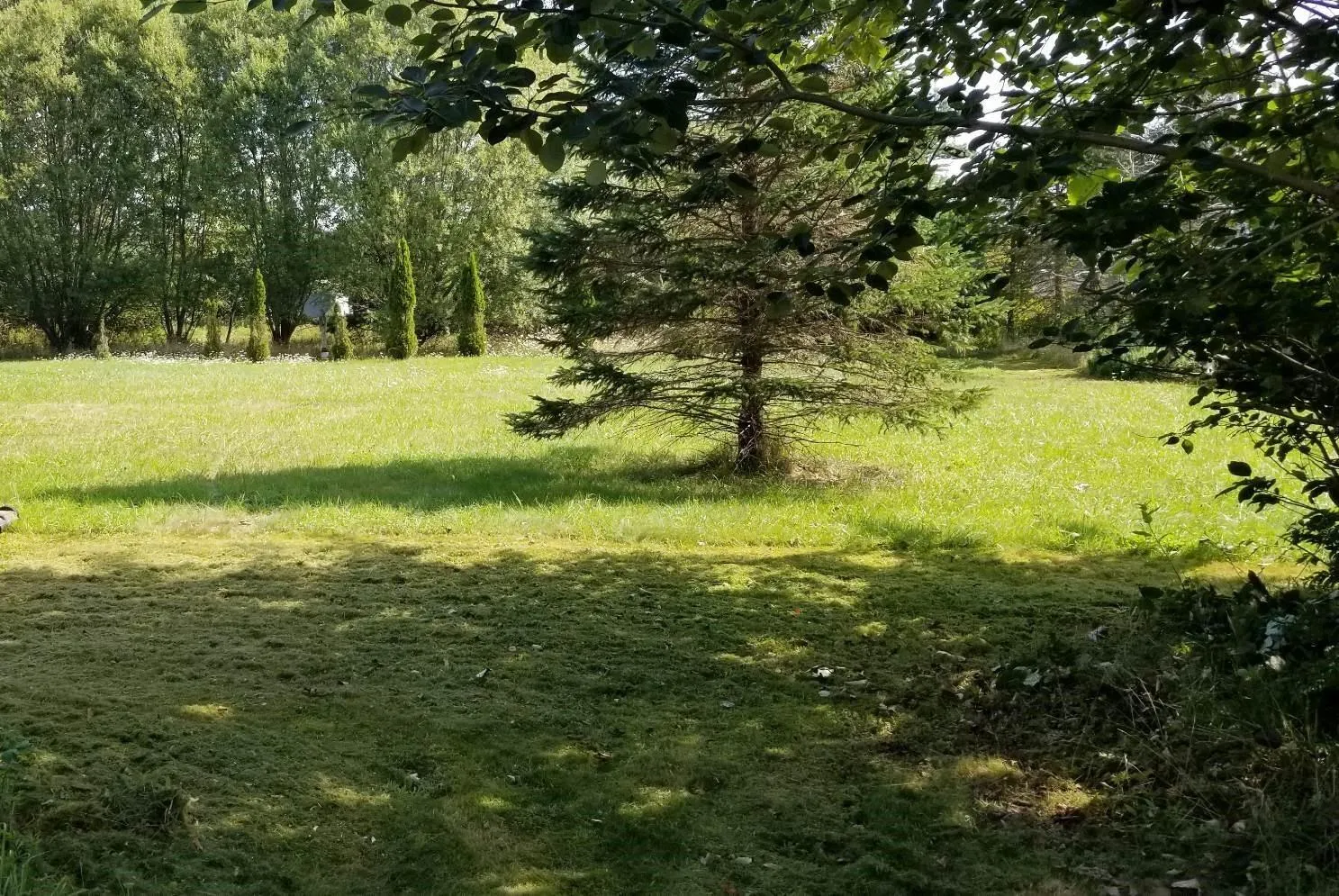 5 White Point 2 Road, White Point Ns B0t 1k0, ,Land,For Sale,White Point 2,202406834