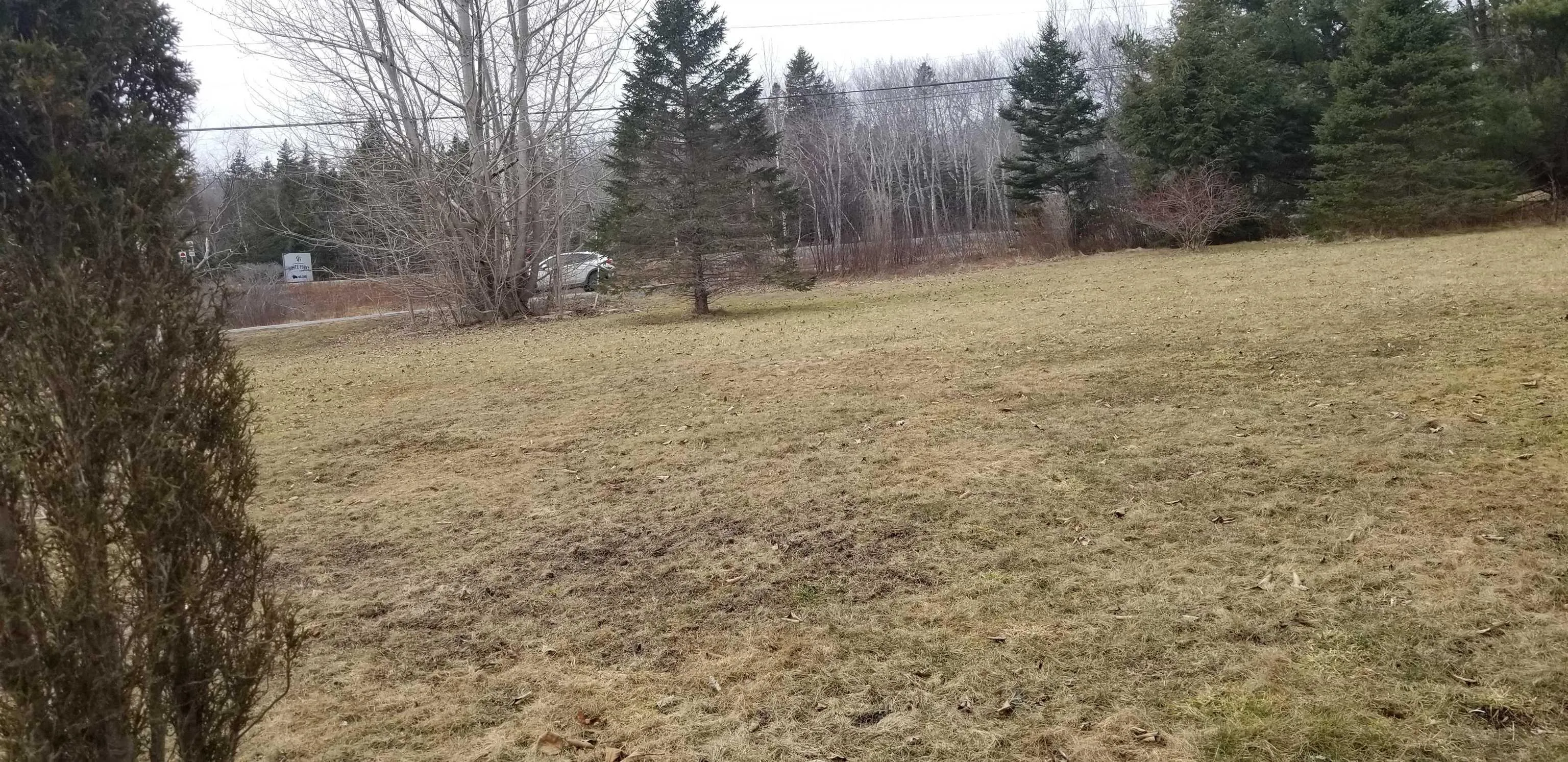 5 White Point 2 Road, White Point Ns B0t 1k0, ,Land,For Sale,White Point 2,202406834