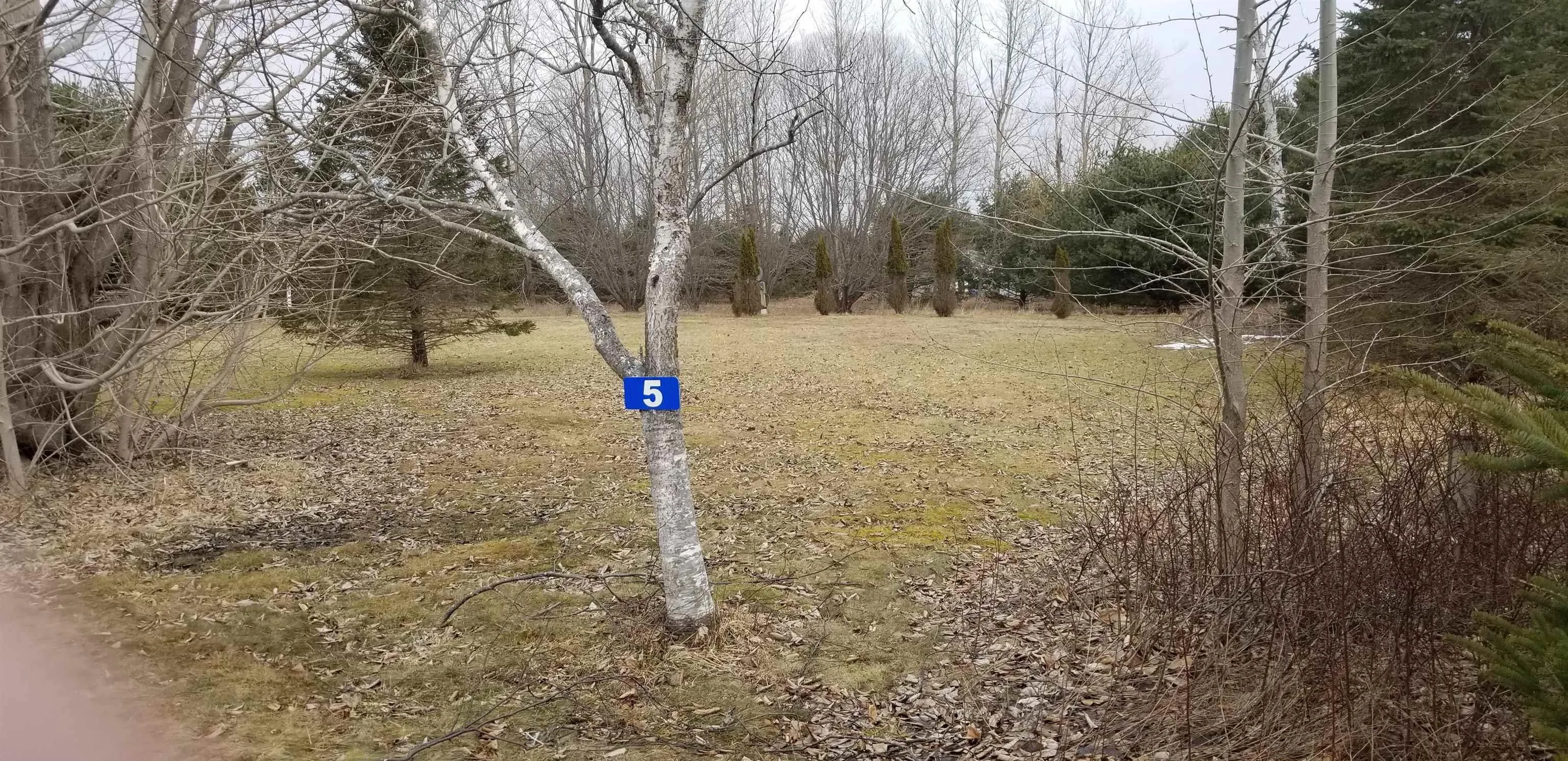 5 White Point 2 Road, White Point Ns B0t 1k0, ,Land,For Sale,White Point 2,202406834
