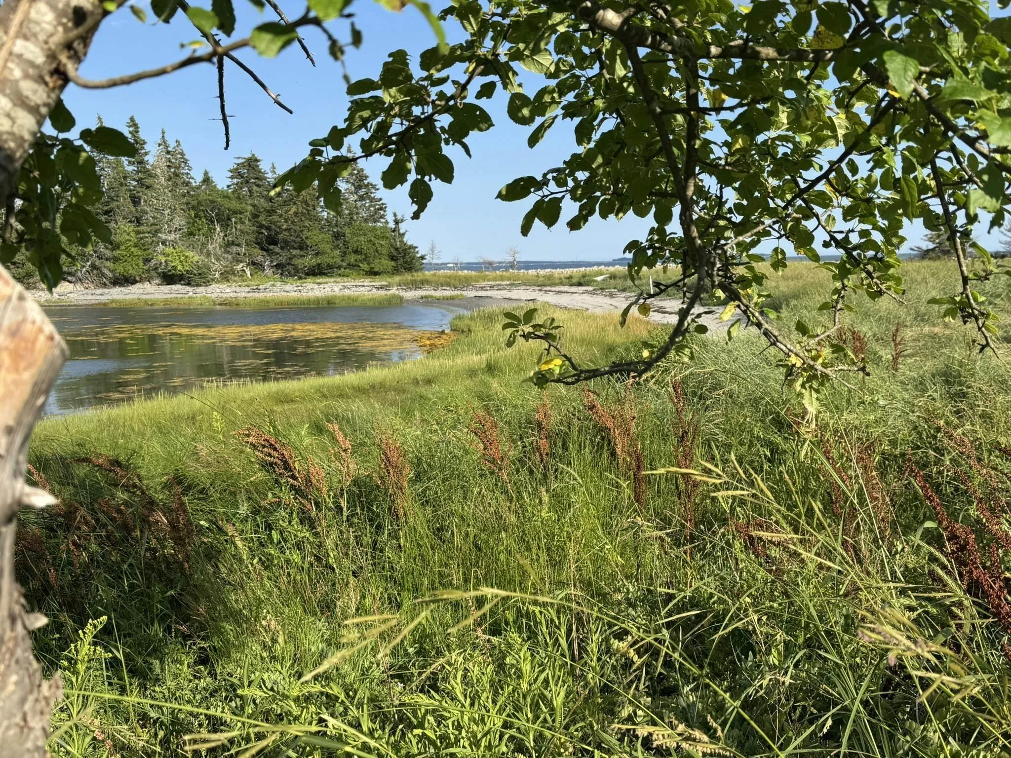 4336 Sandy Point Rd, Jordan Bay, NS B0T 1W0, 2 Bedrooms Bedrooms, ,1 BathroomBathrooms,Residential,For Sale,Sandy Point Rd,202520143