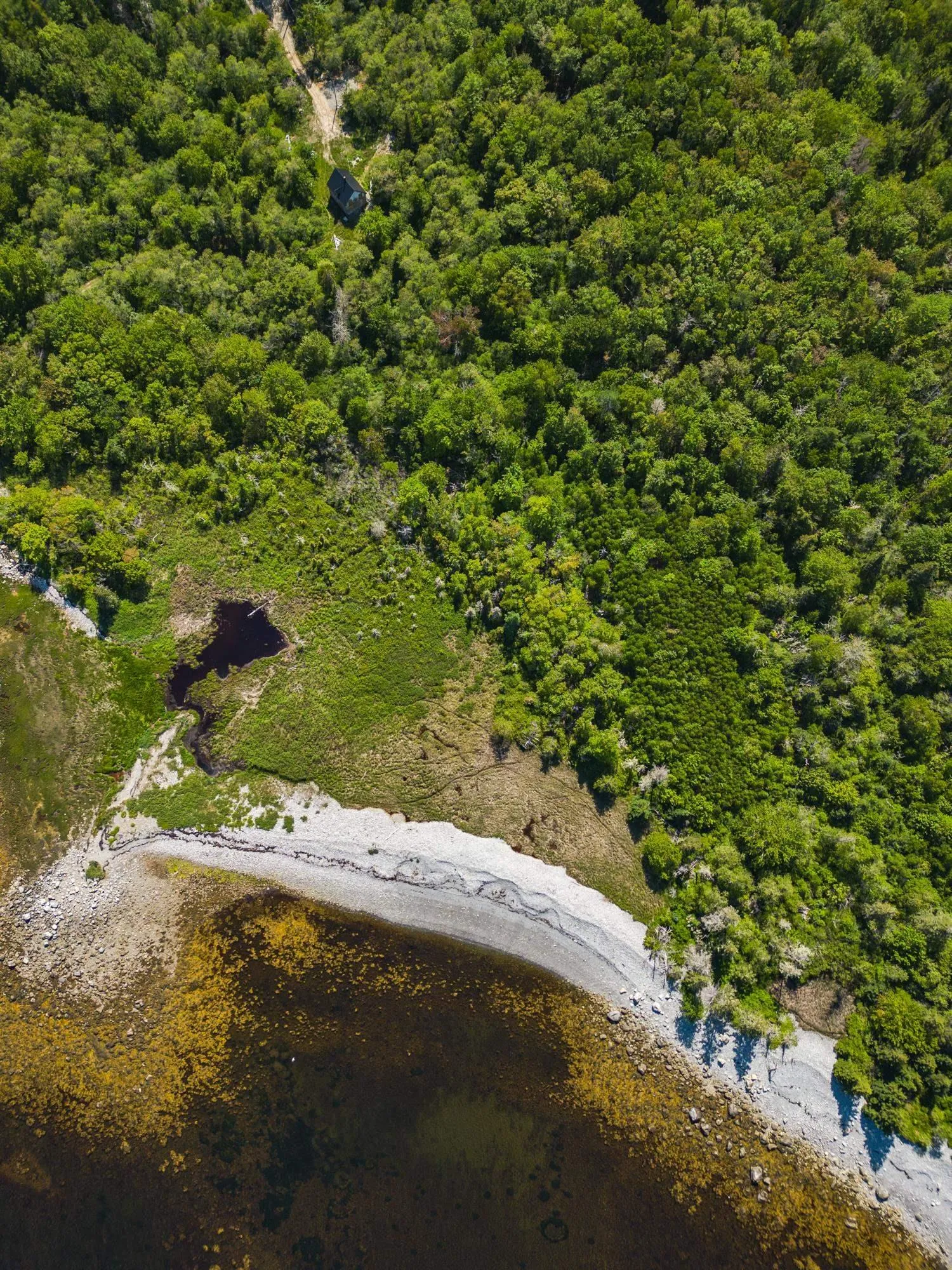 4336 Sandy Point Rd, Jordan Bay, NS B0T 1W0, 2 Bedrooms Bedrooms, ,1 BathroomBathrooms,Residential,For Sale,Sandy Point Rd,202520143