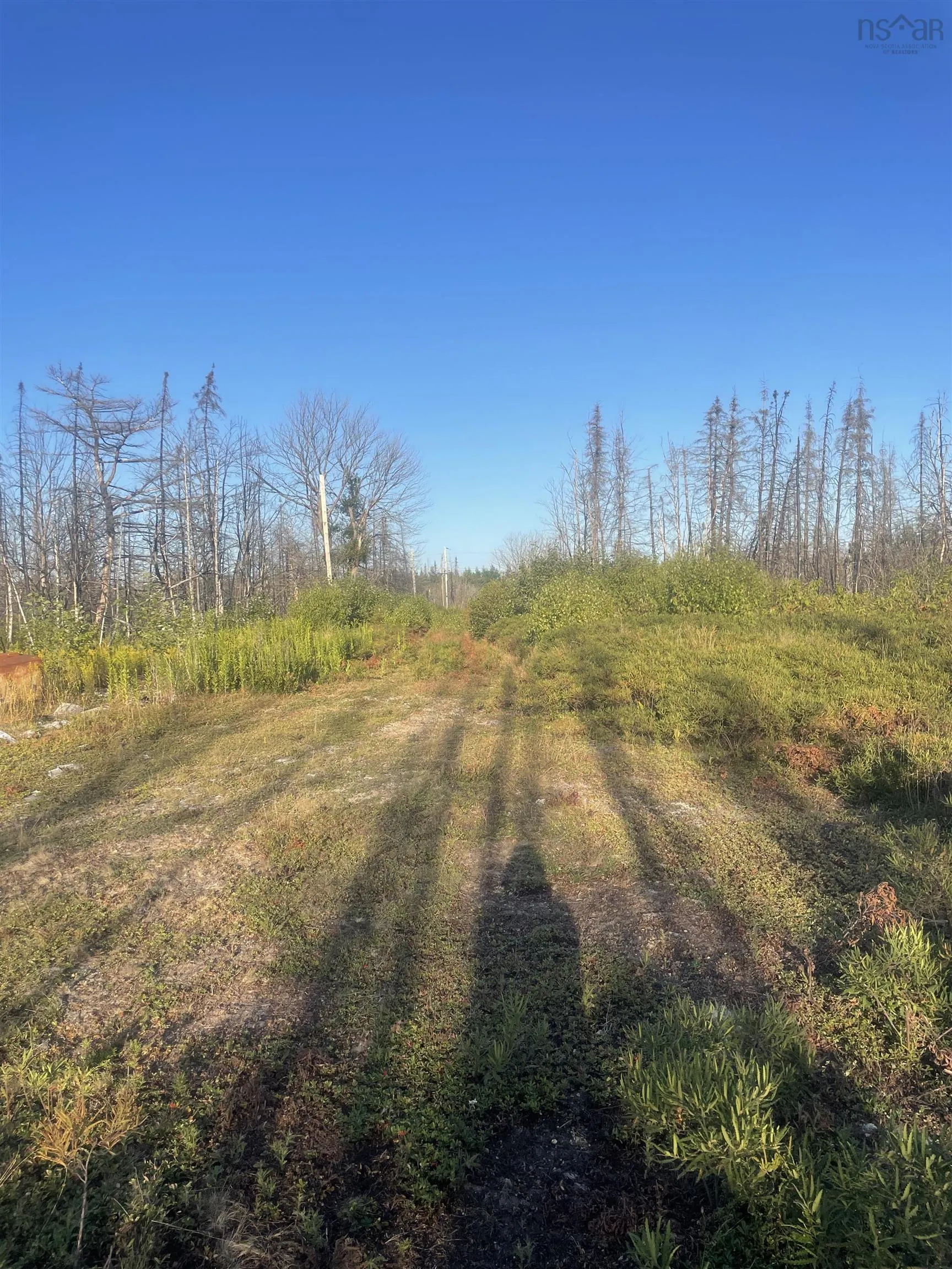 9252 103 Highway, Beaver Dam, NS B0T 1W0, ,Land,For Sale,103,202521455