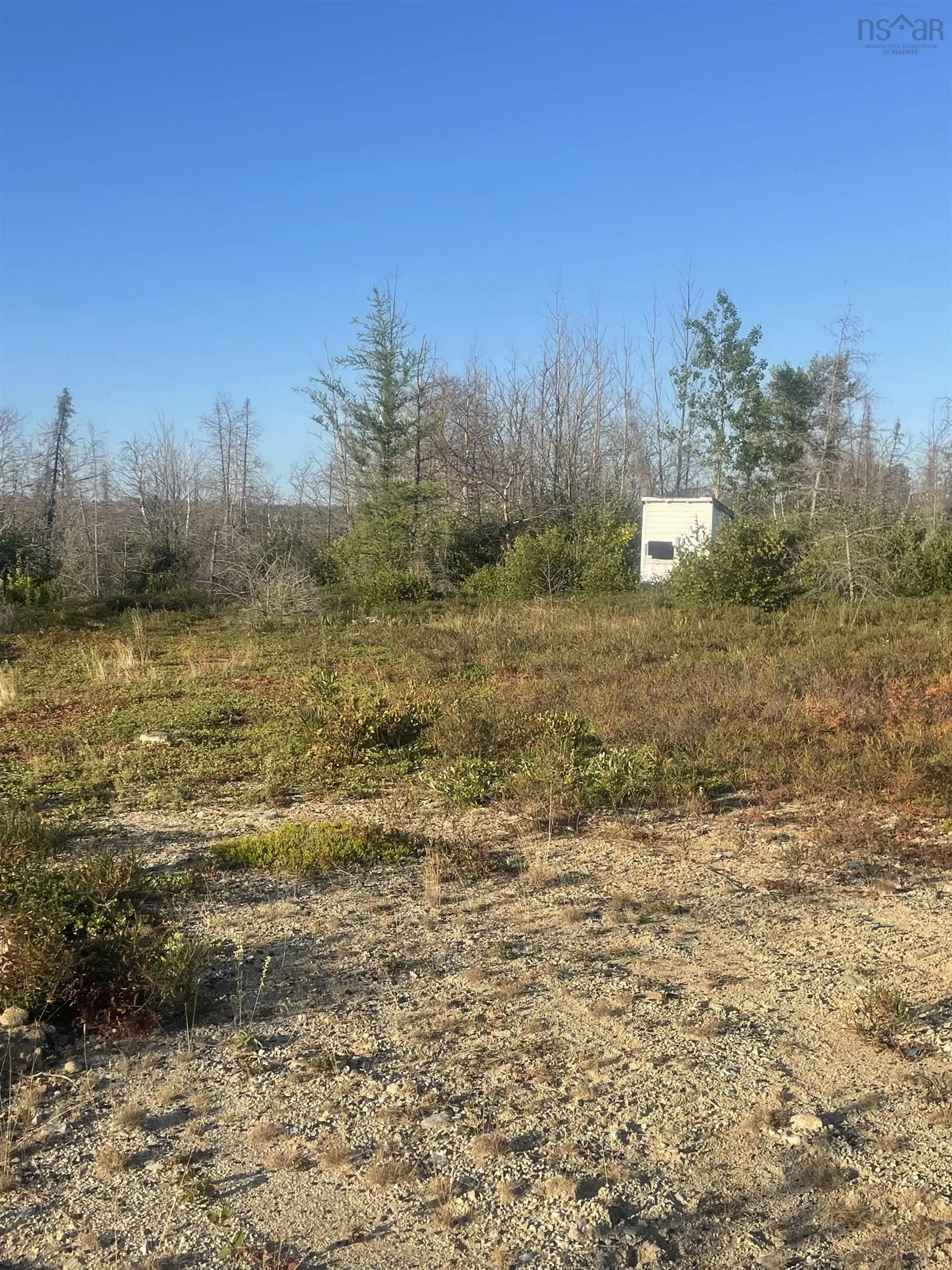 9252 103 Highway, Beaver Dam, NS B0T 1W0, ,Land,For Sale,103,202521455