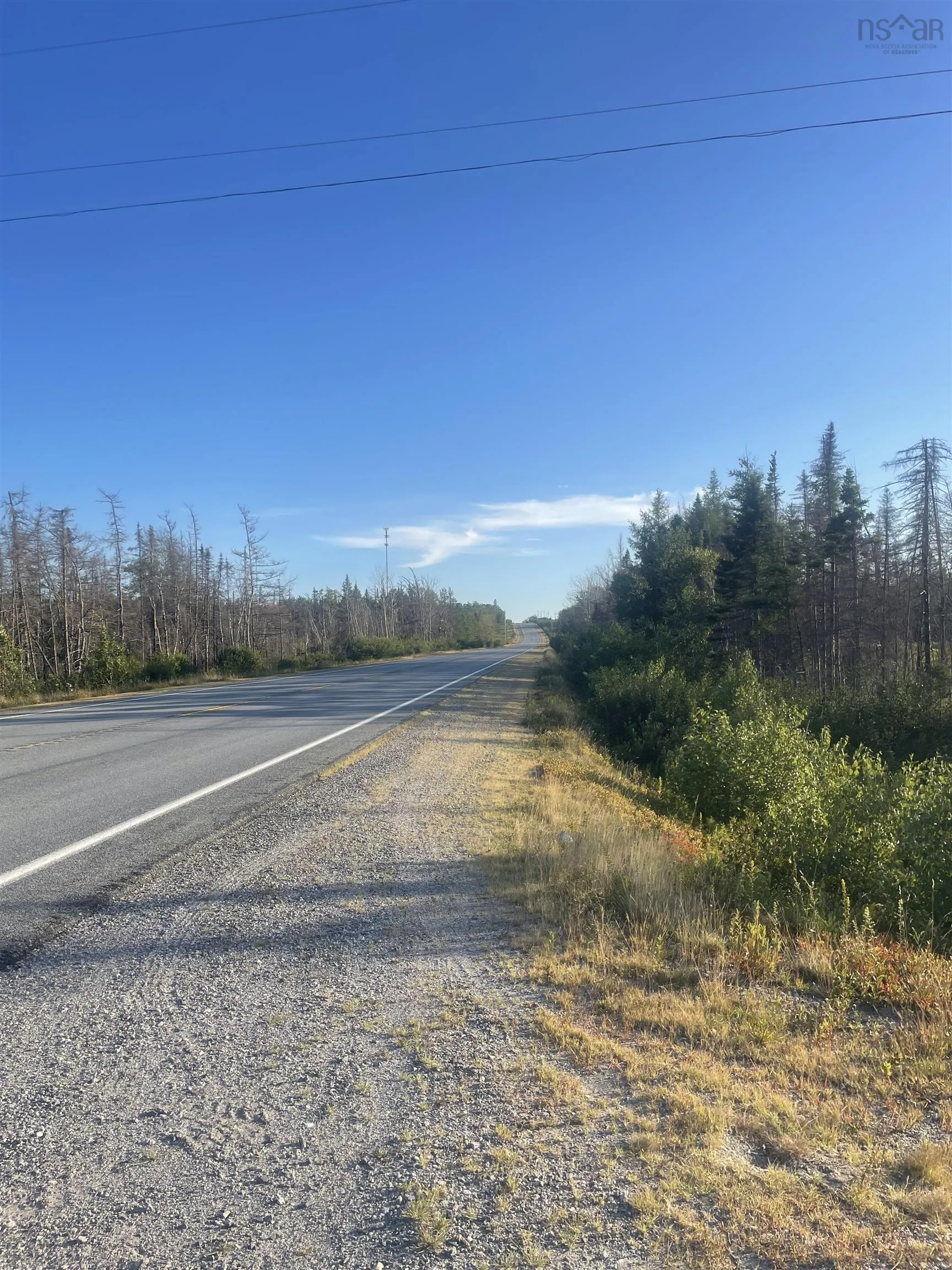 9252 103 Highway, Beaver Dam, NS B0T 1W0, ,Land,For Sale,103,202521455