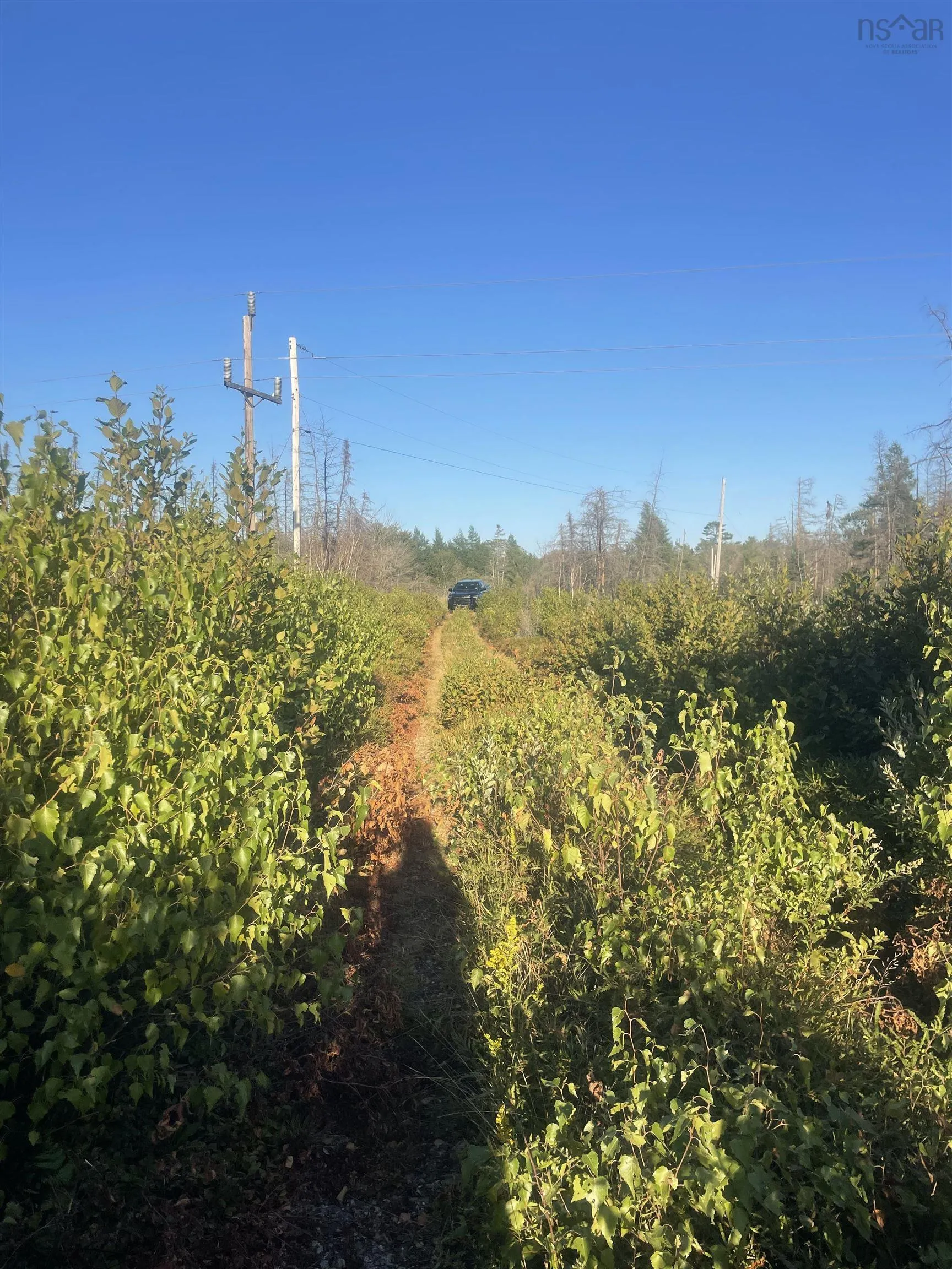9252 103 Highway, Beaver Dam, NS B0T 1W0, ,Land,For Sale,103,202521455