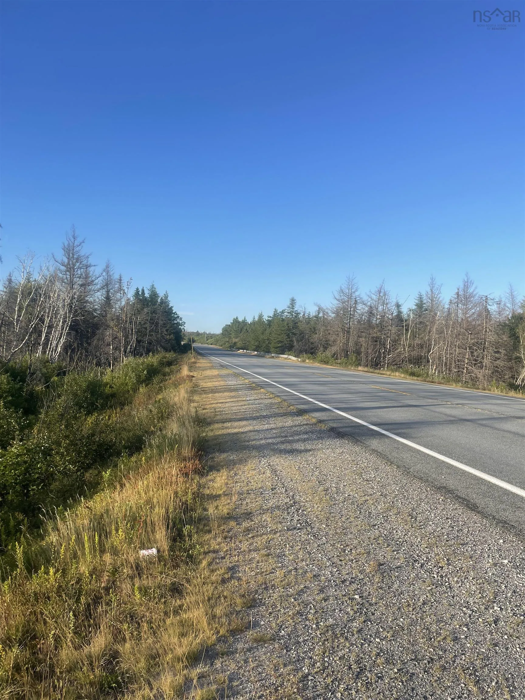 9252 103 Highway, Beaver Dam, NS B0T 1W0, ,Land,For Sale,103,202521455