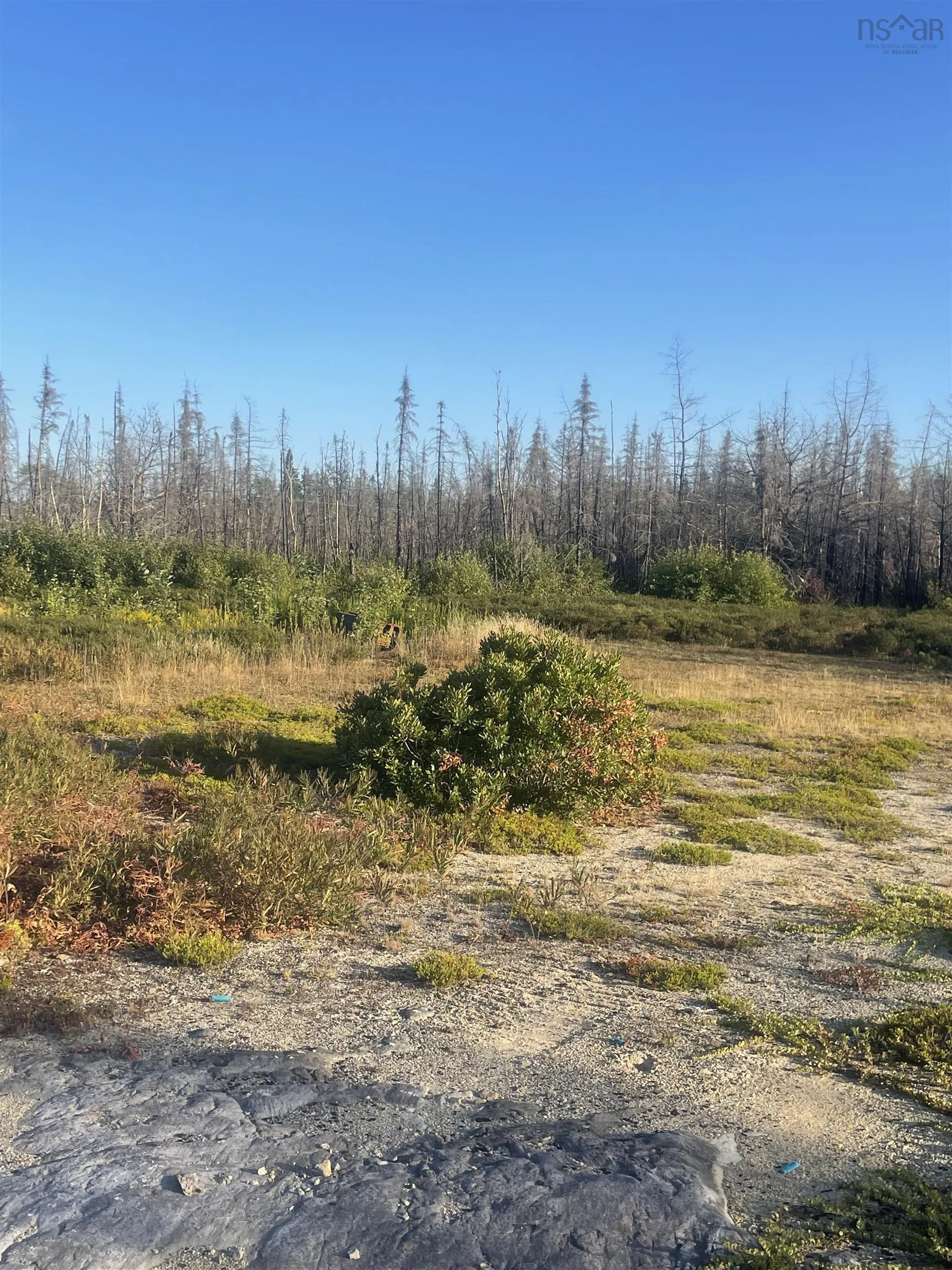 9252 103 Highway, Beaver Dam, NS B0T 1W0, ,Land,For Sale,103,202521455