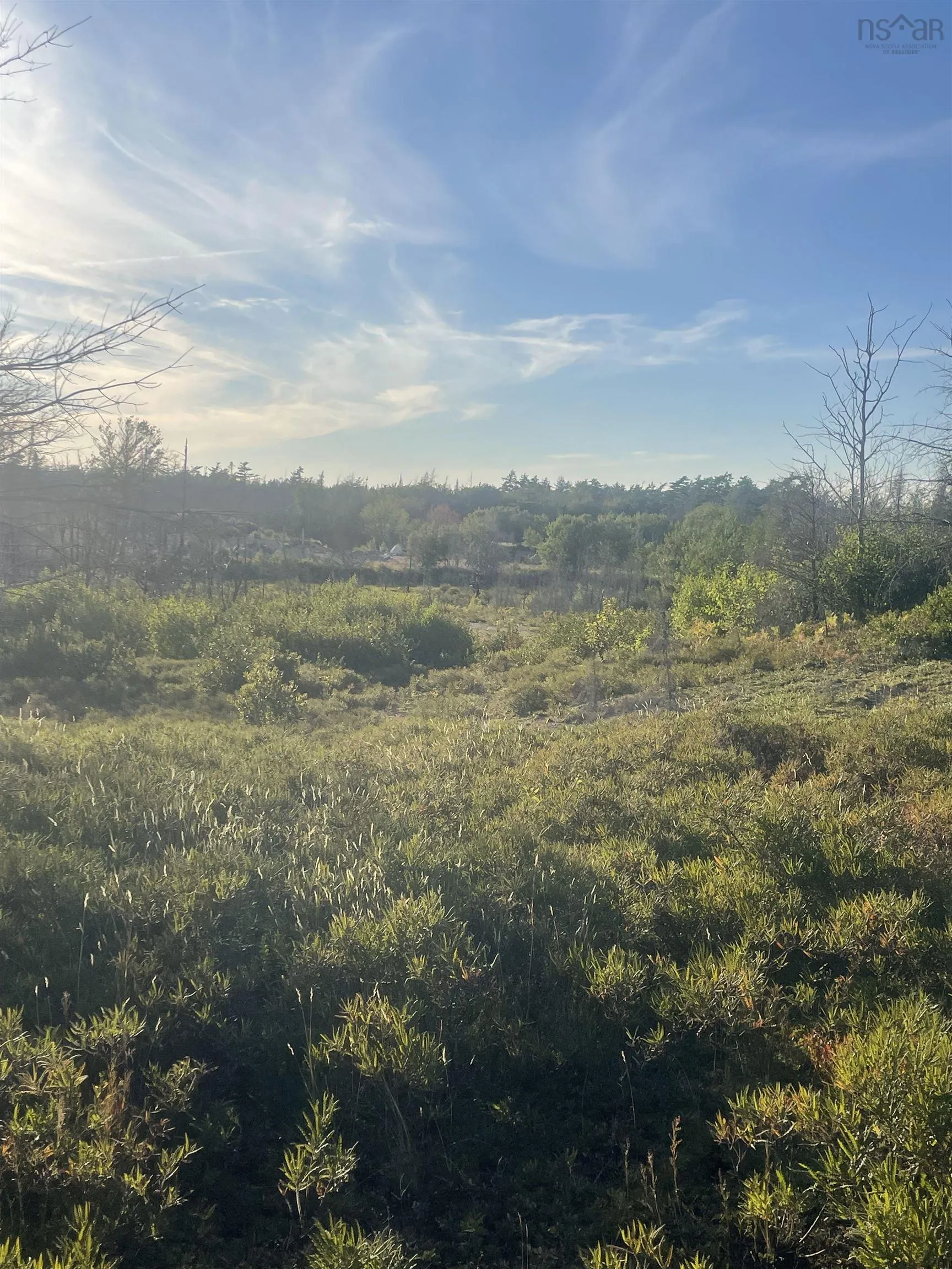 9252 103 Highway, Beaver Dam, NS B0T 1W0, ,Land,For Sale,103,202521455