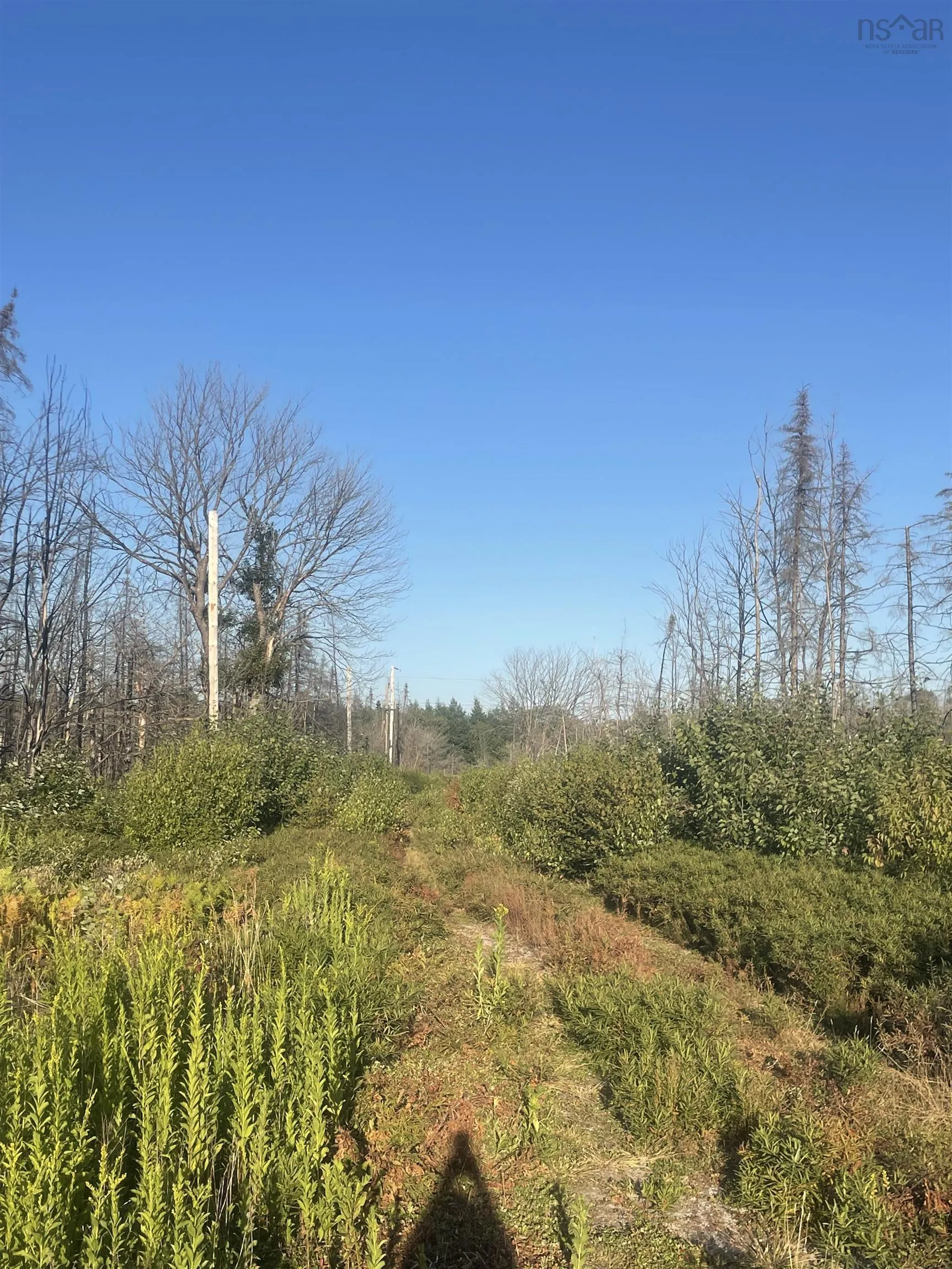9252 103 Highway, Beaver Dam, NS B0T 1W0, ,Land,For Sale,103,202521455