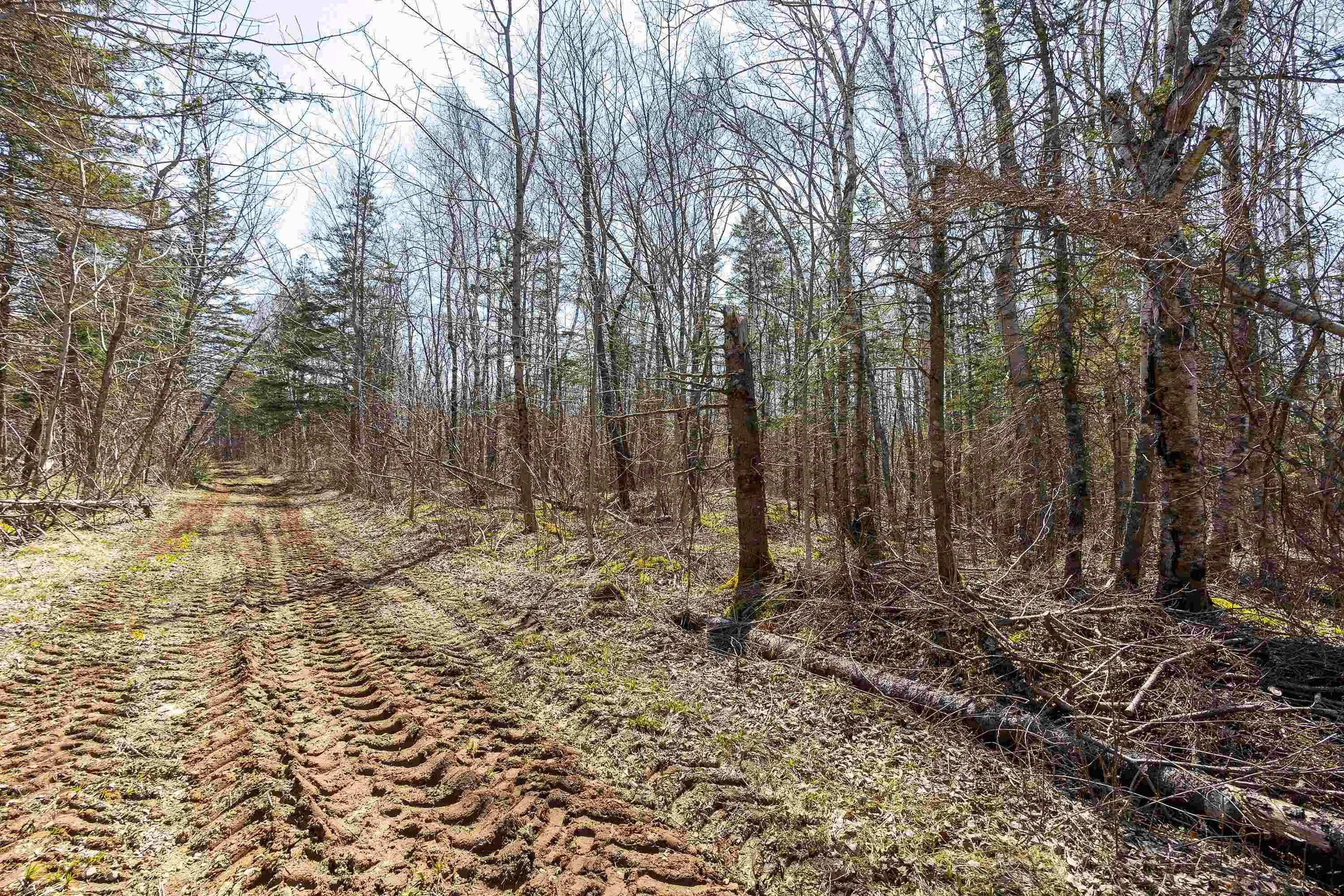 Seaman Street Lot 2, East Margaretsville Ns B0s 1n0, ,Land,For Sale,Seaman Street,202509138