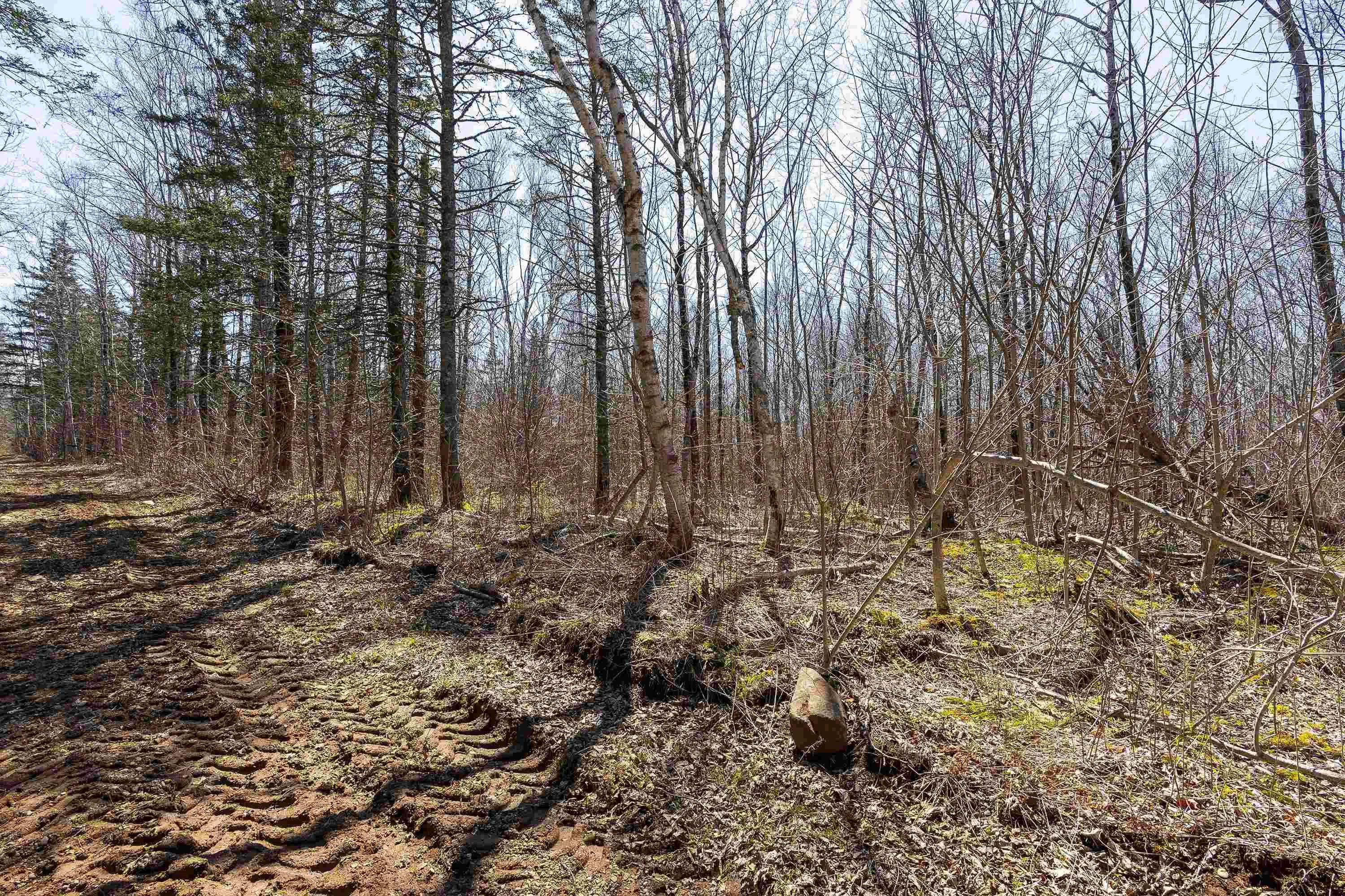 Seaman Street Lot 2, East Margaretsville Ns B0s 1n0, ,Land,For Sale,Seaman Street,202509138