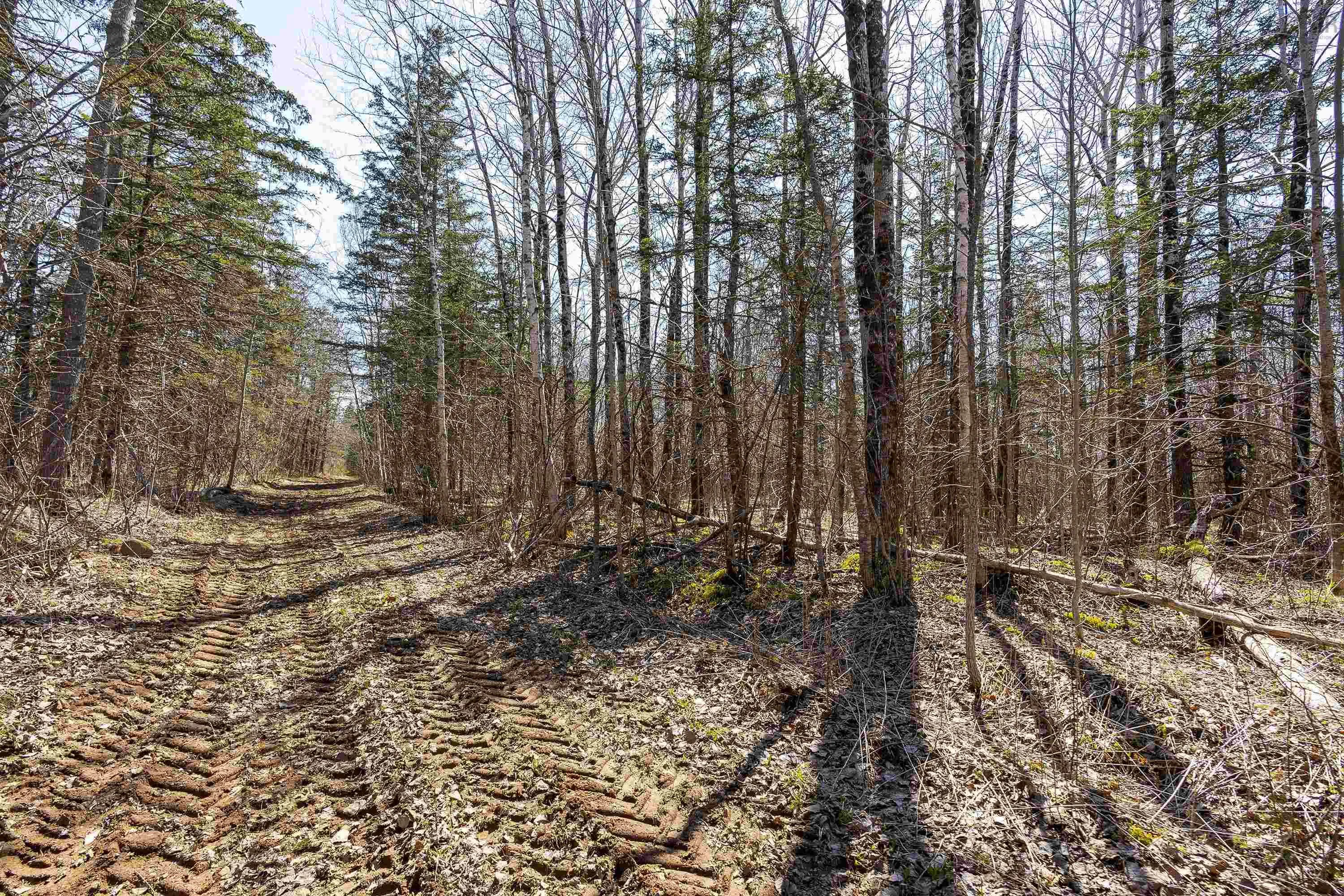 Seaman Street Lot 2, East Margaretsville Ns B0s 1n0, ,Land,For Sale,Seaman Street,202509138