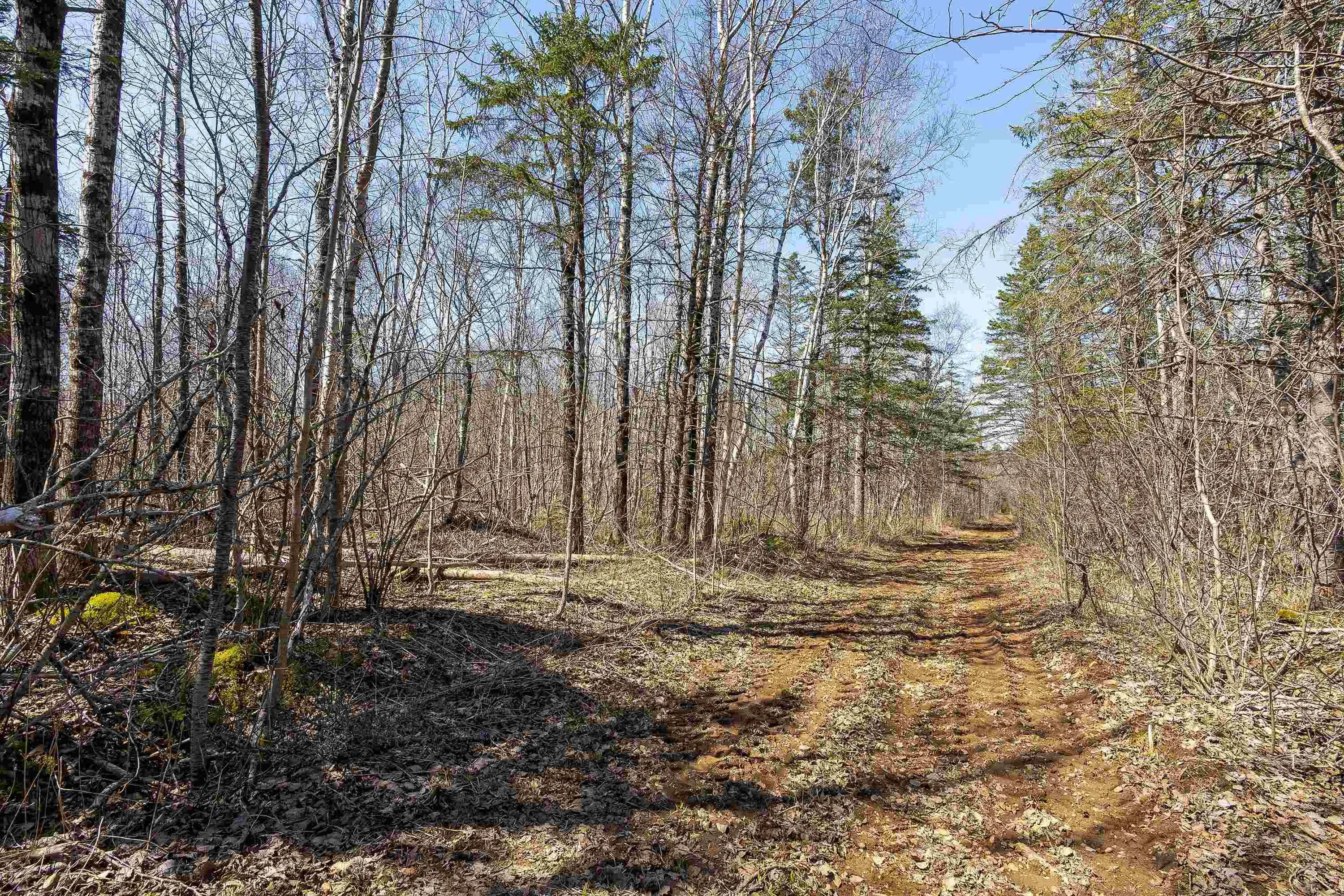 Seaman Street Lot 2, East Margaretsville Ns B0s 1n0, ,Land,For Sale,Seaman Street,202509138