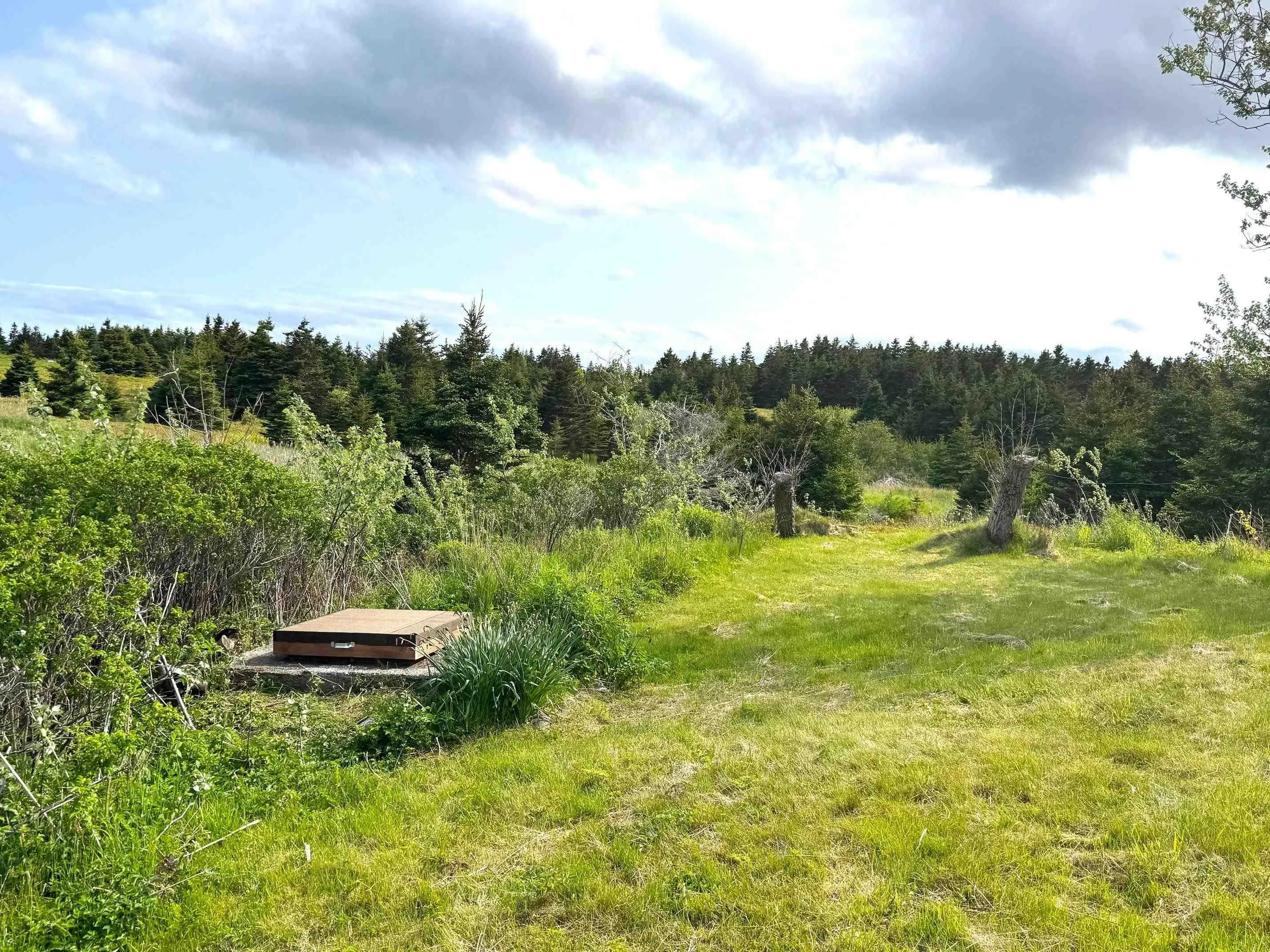 3098 Point Michaud Rd, Gracieville, NS B0E 1W0, 3 Bedrooms Bedrooms, ,1 BathroomBathrooms,Residential,For Sale,Point Michaud Rd,202514840