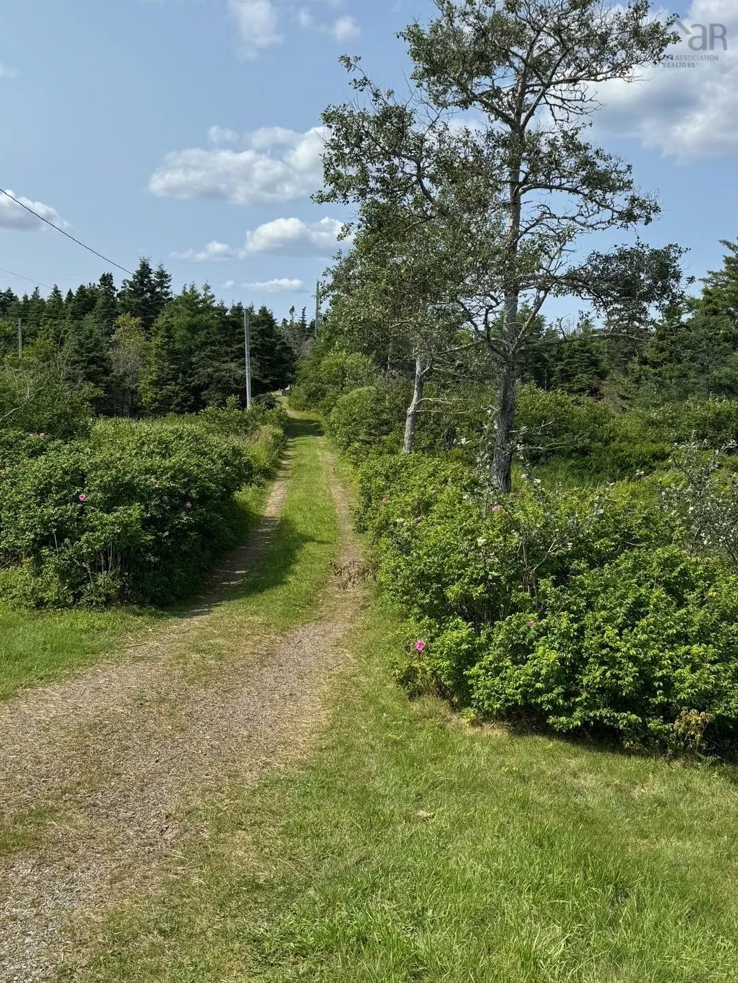 3098 Point Michaud Rd, Gracieville, NS B0E 1W0, 3 Bedrooms Bedrooms, ,1 BathroomBathrooms,Residential,For Sale,Point Michaud Rd,202514840