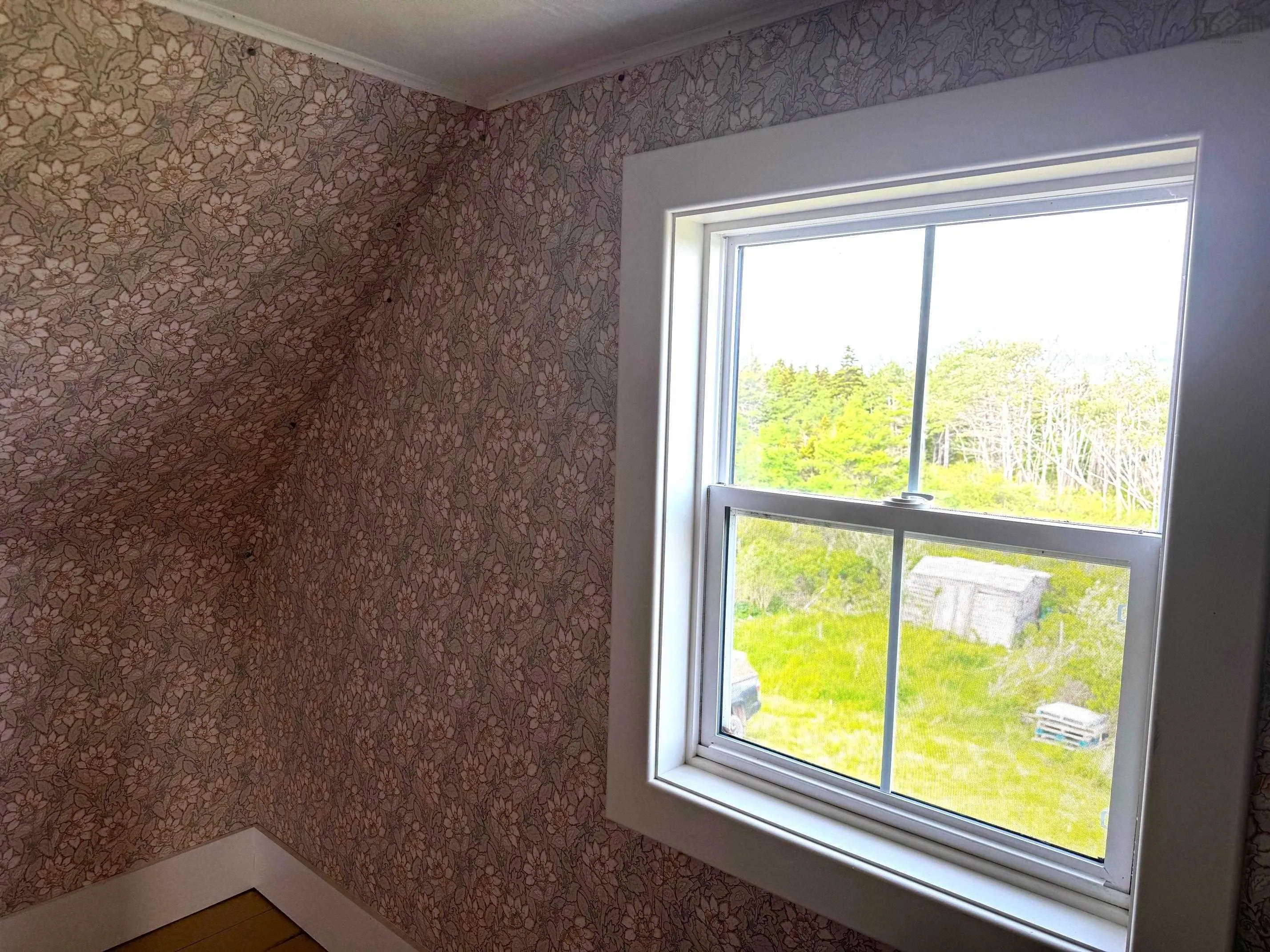 3098 Point Michaud Rd, Gracieville, NS B0E 1W0, 3 Bedrooms Bedrooms, ,1 BathroomBathrooms,Residential,For Sale,Point Michaud Rd,202514840