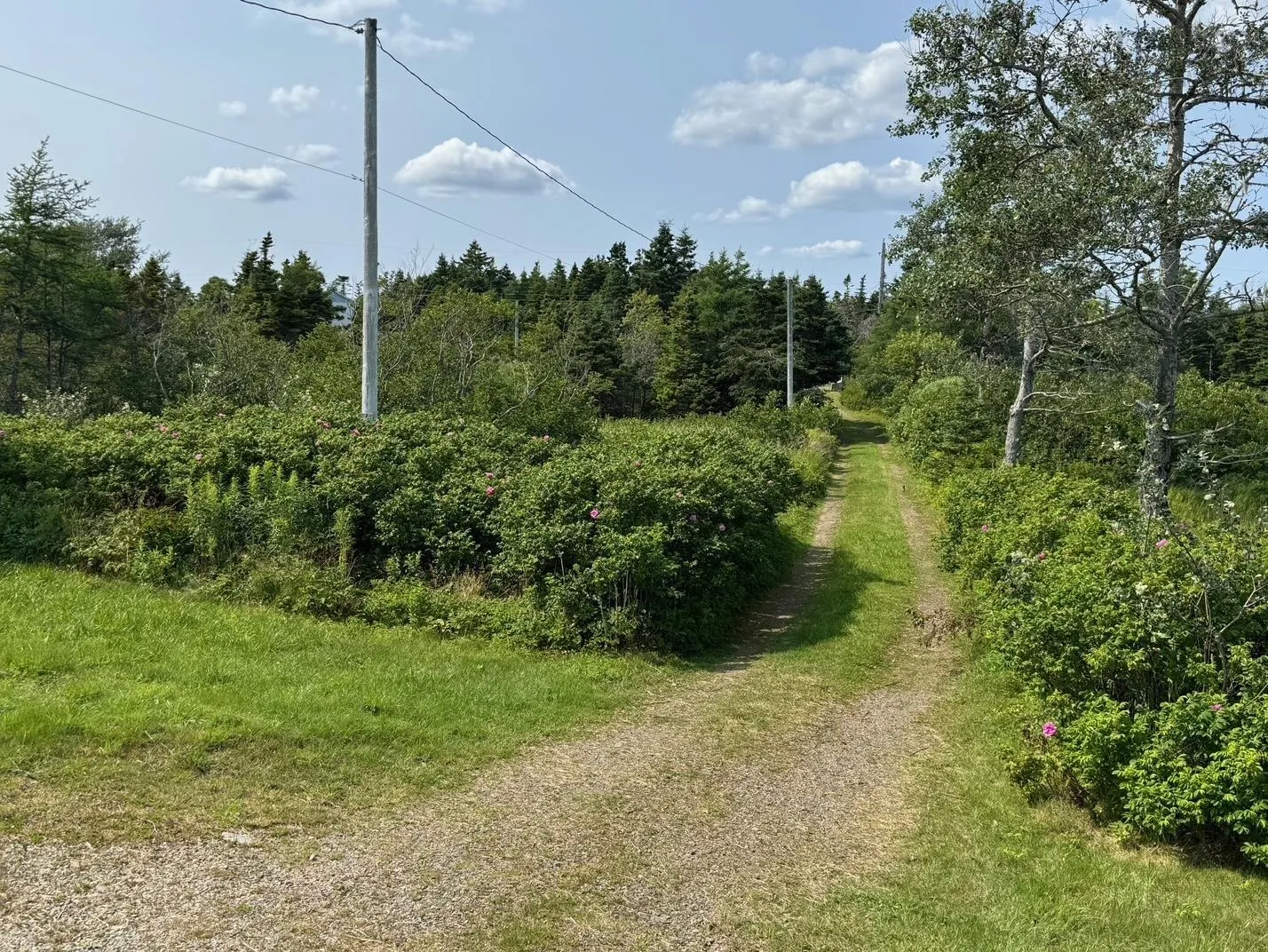 3098 Point Michaud Rd, Gracieville, NS B0E 1W0, 3 Bedrooms Bedrooms, ,1 BathroomBathrooms,Residential,For Sale,Point Michaud Rd,202514840