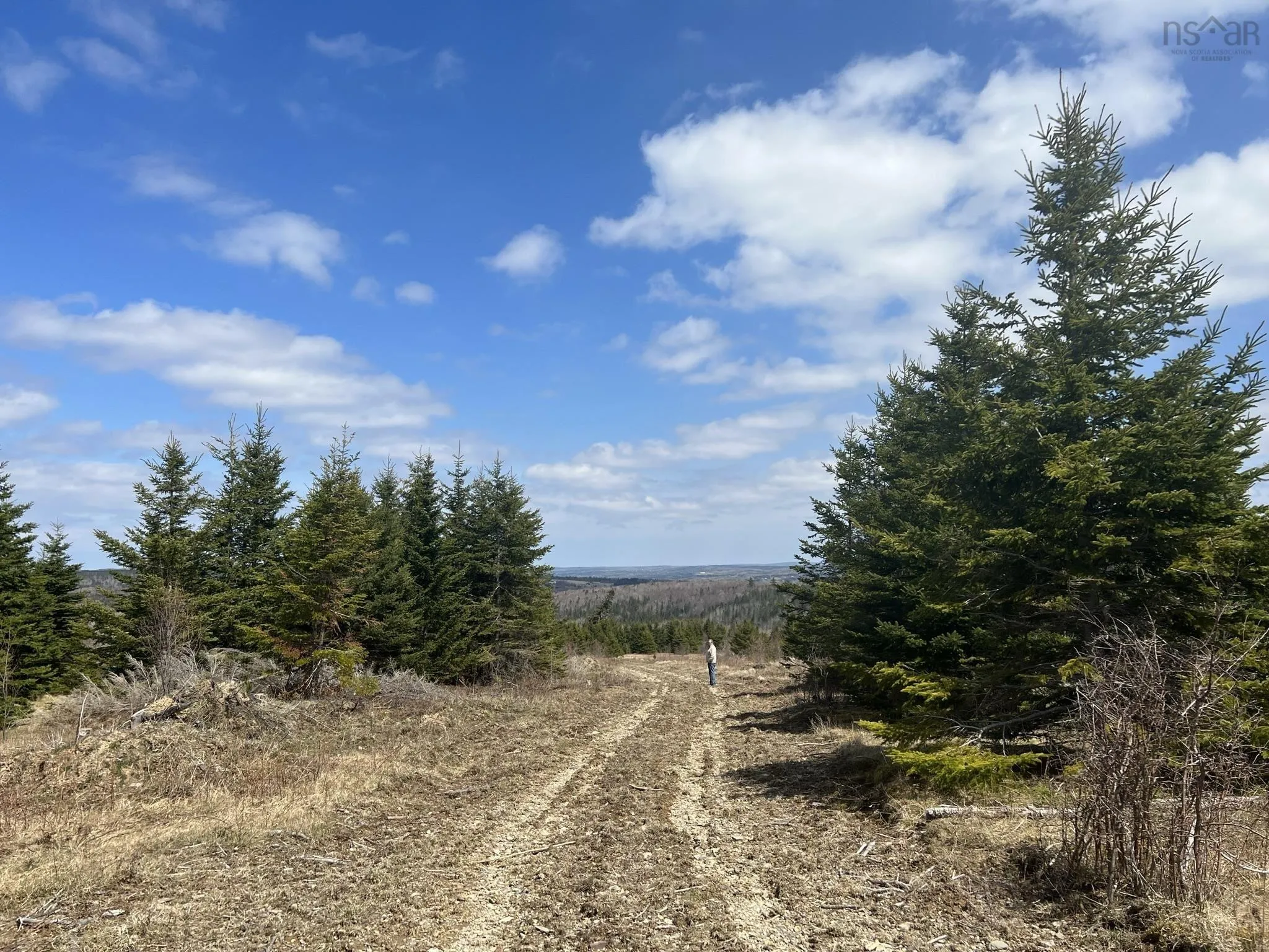 229 Lairg Road, New Lairg Ns B0k 2a0, ,Land,For Sale,Lairg,202307447