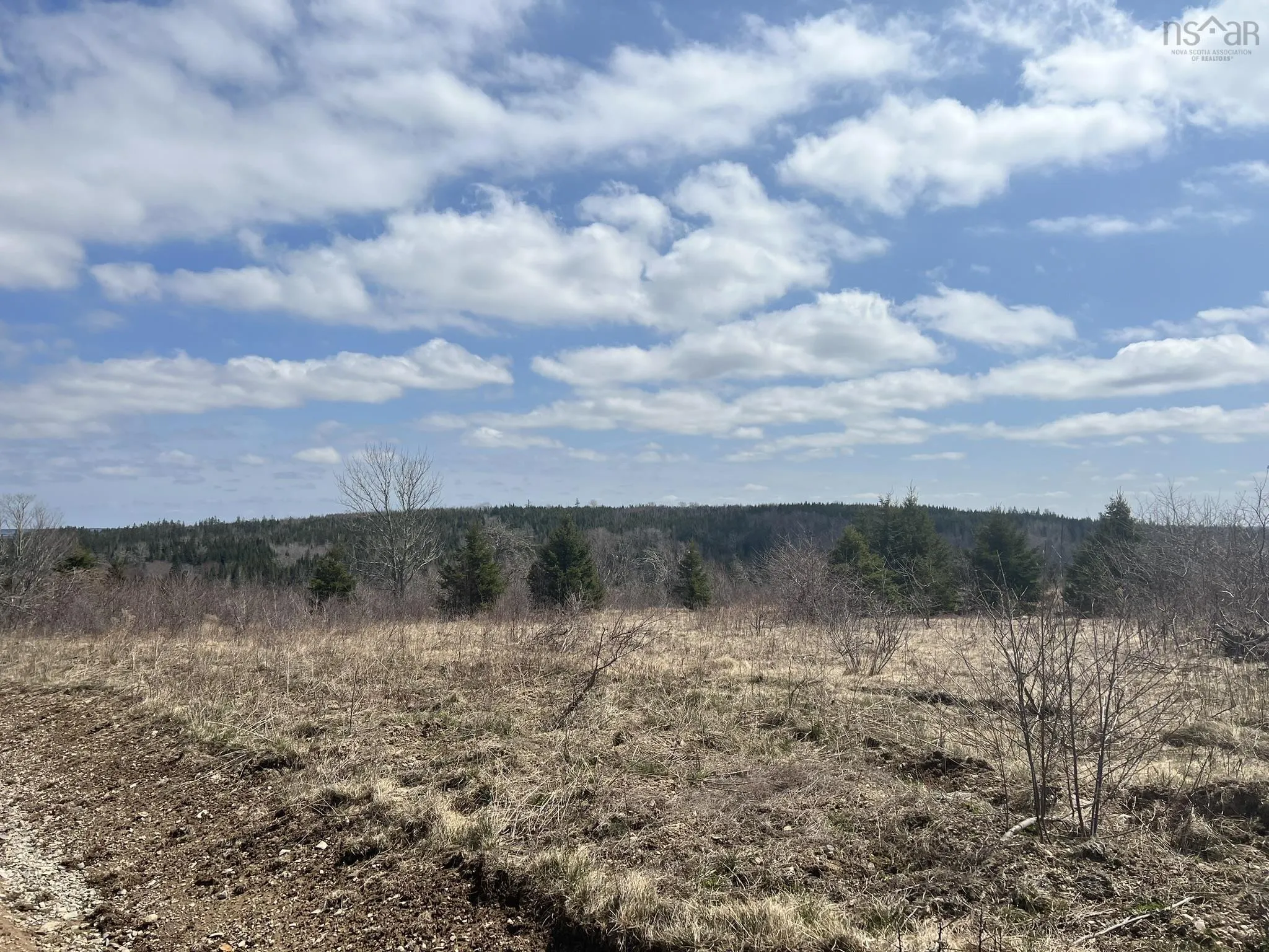 229 Lairg Road, New Lairg Ns B0k 2a0, ,Land,For Sale,Lairg,202307447
