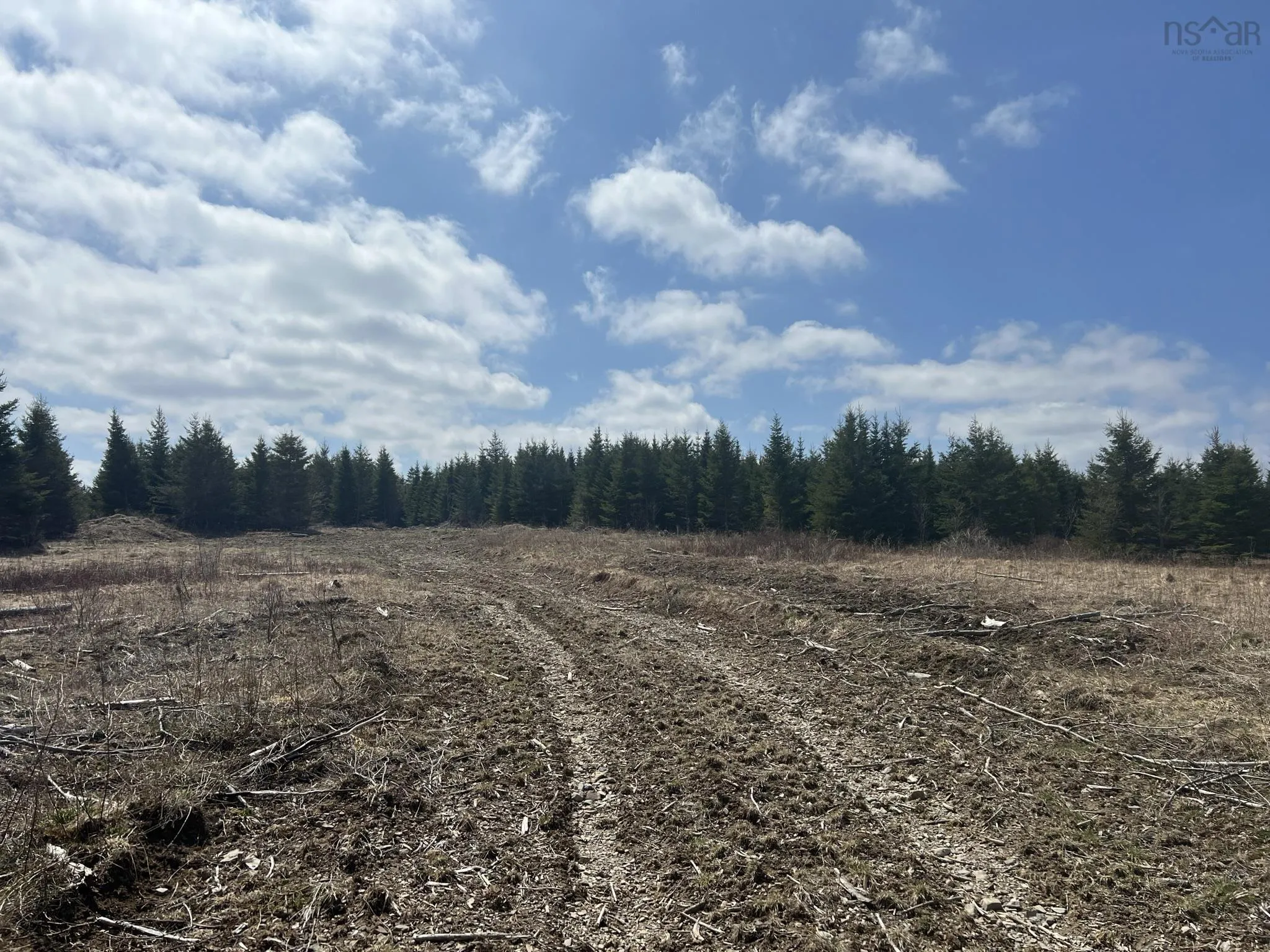 229 Lairg Road, New Lairg Ns B0k 2a0, ,Land,For Sale,Lairg,202307447