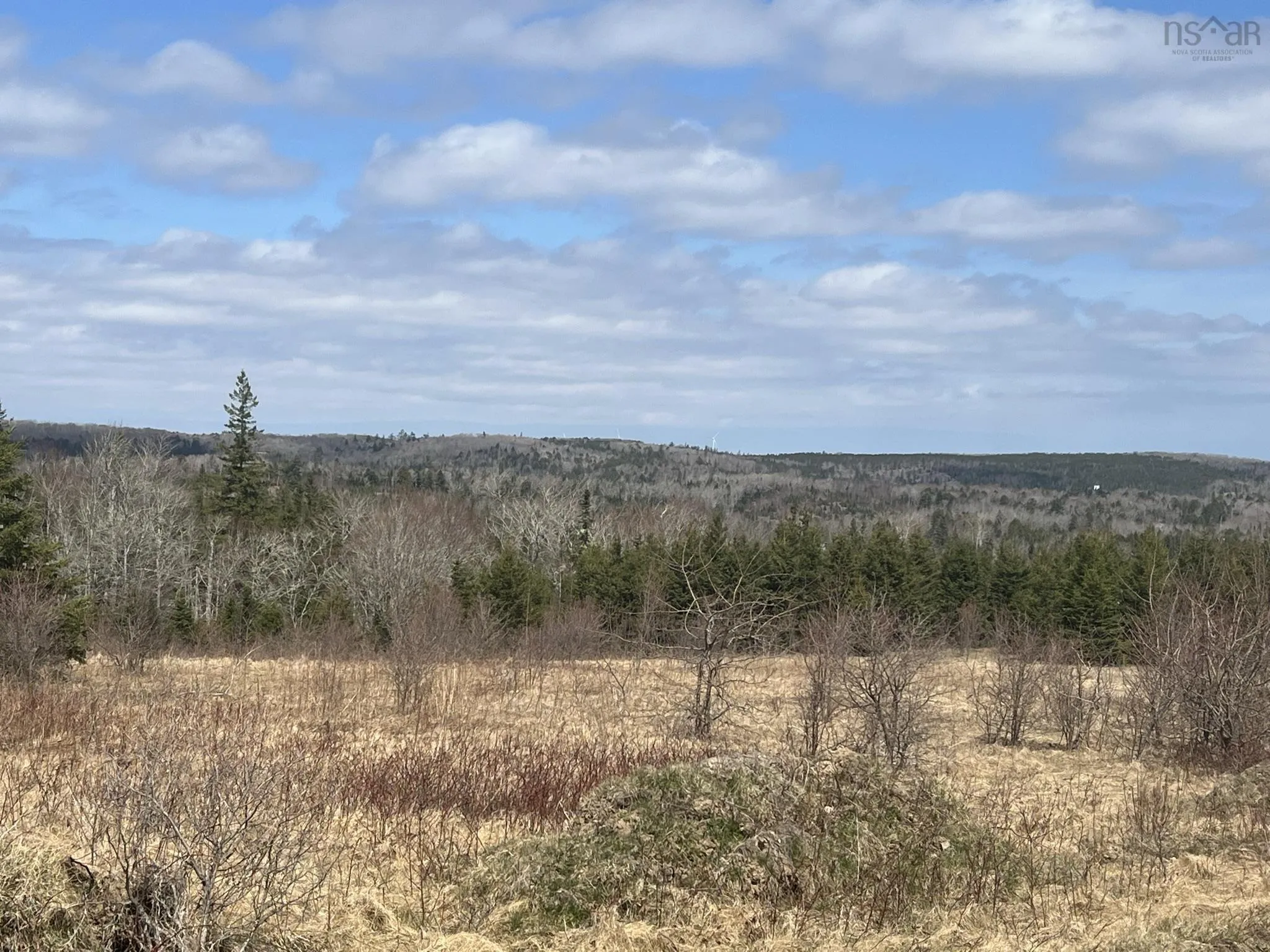 229 Lairg Road, New Lairg Ns B0k 2a0, ,Land,For Sale,Lairg,202307447