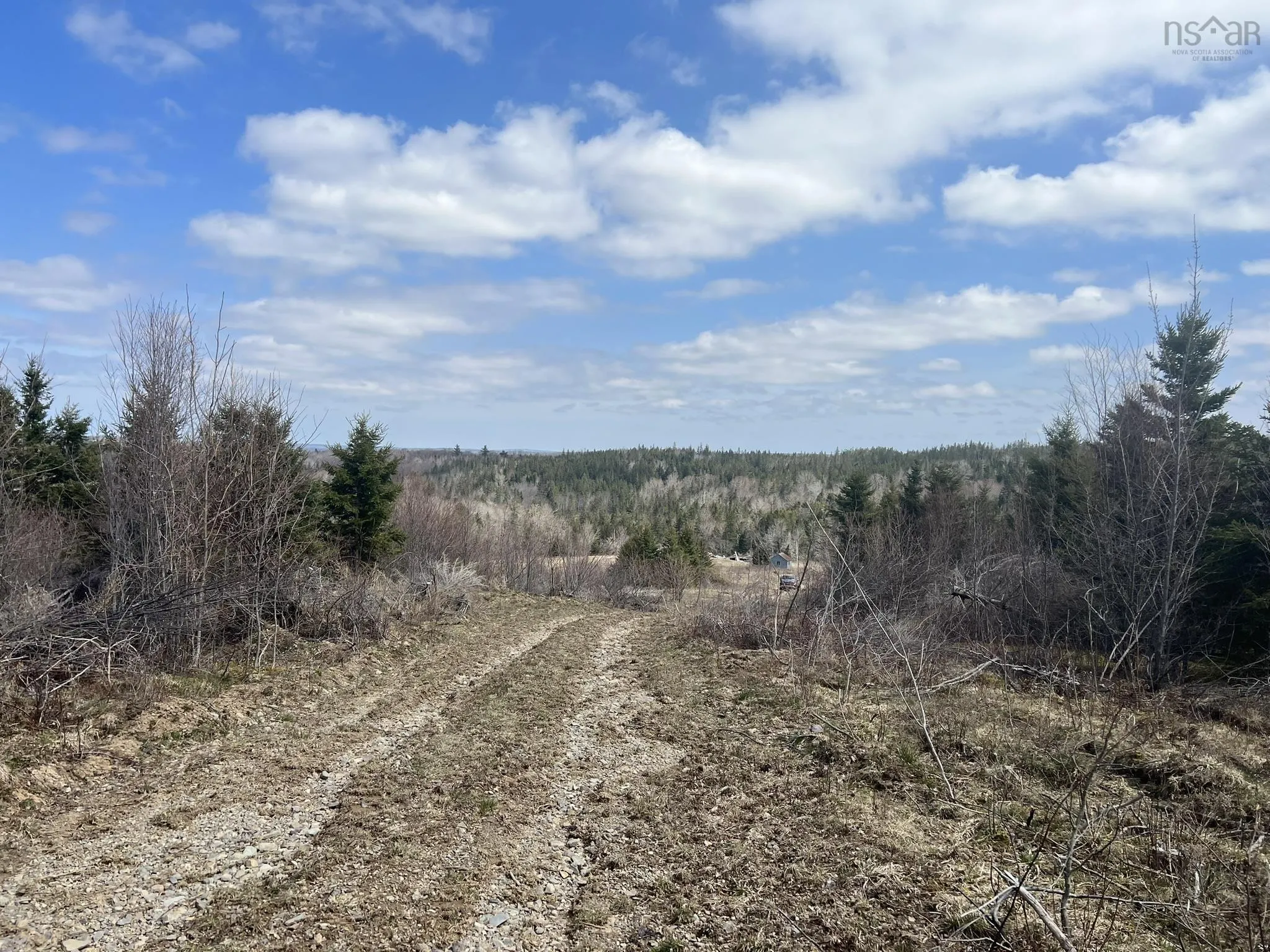 229 Lairg Road, New Lairg Ns B0k 2a0, ,Land,For Sale,Lairg,202307447