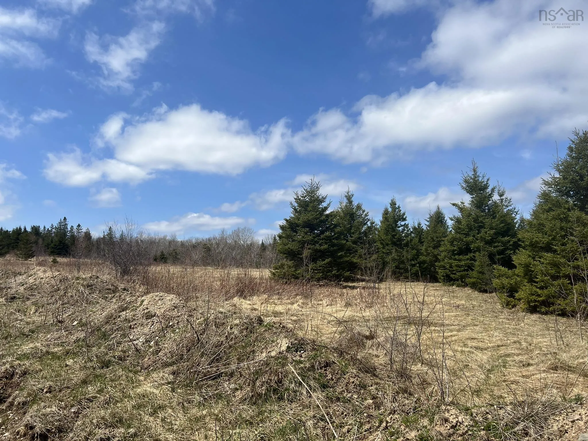 229 Lairg Road, New Lairg Ns B0k 2a0, ,Land,For Sale,Lairg,202307447